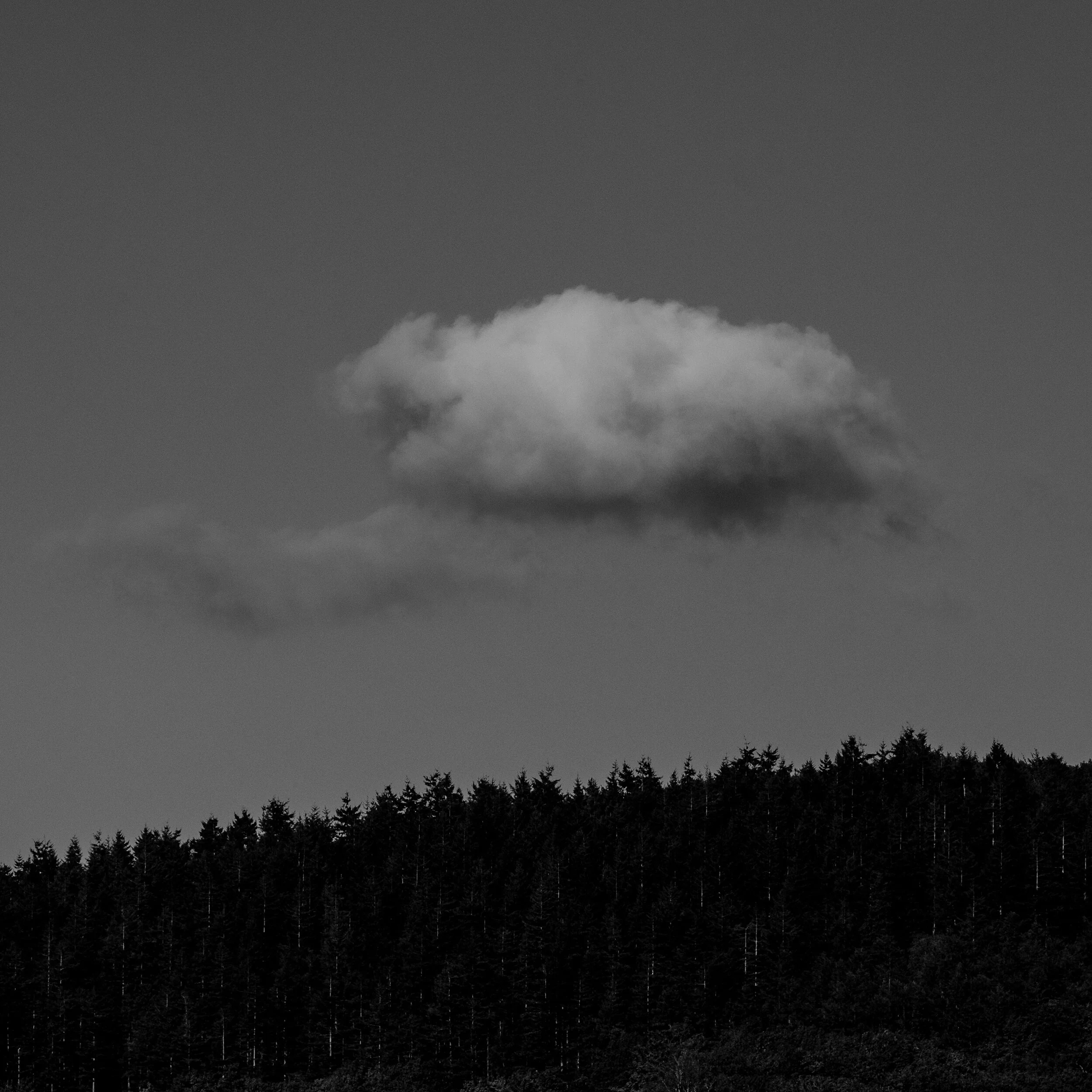 DSCF0444-2.jpg