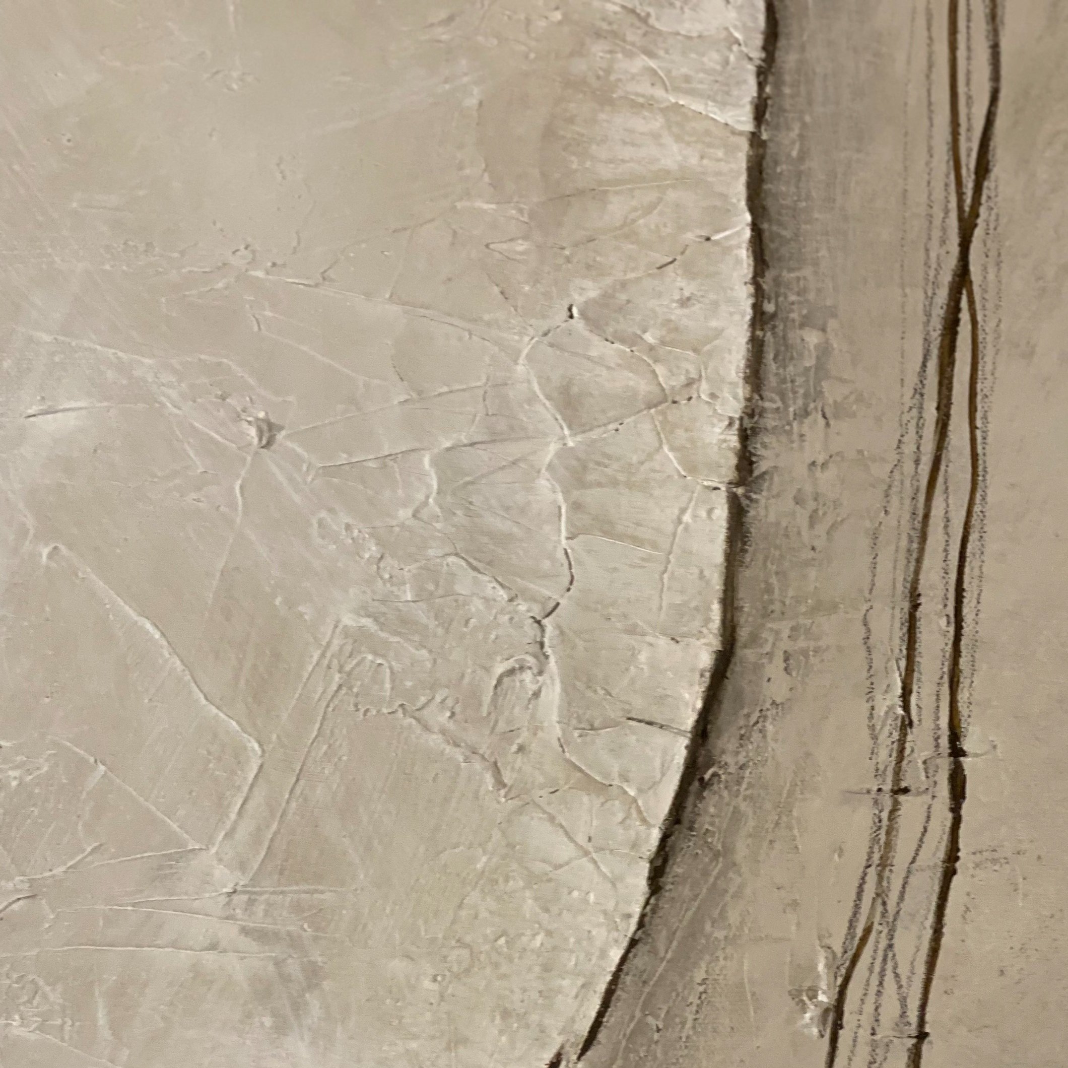 MichiganCoastLineDetail.jpg