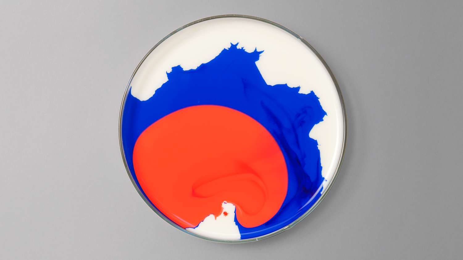 Icon_005.png