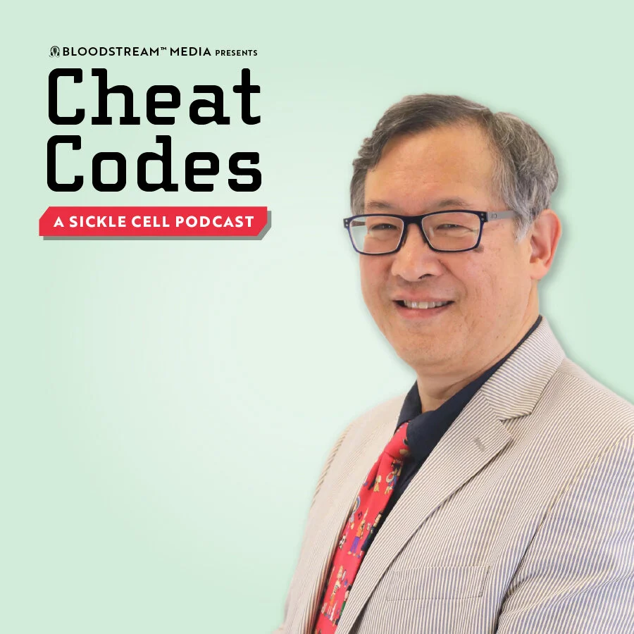 #23 - Implementation Science and SCD: Following the Playbook with Lewis Hsu