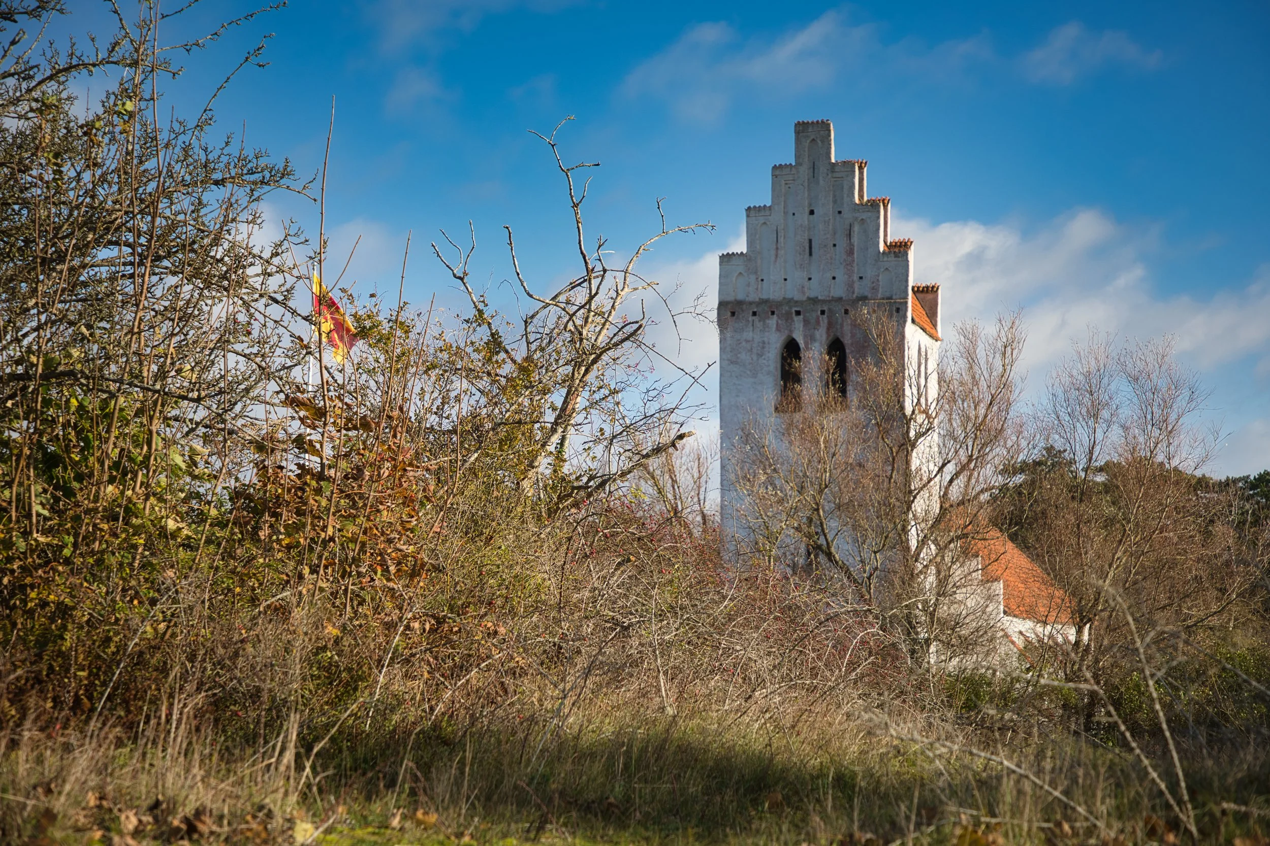 Falsterbokyrka jan -22