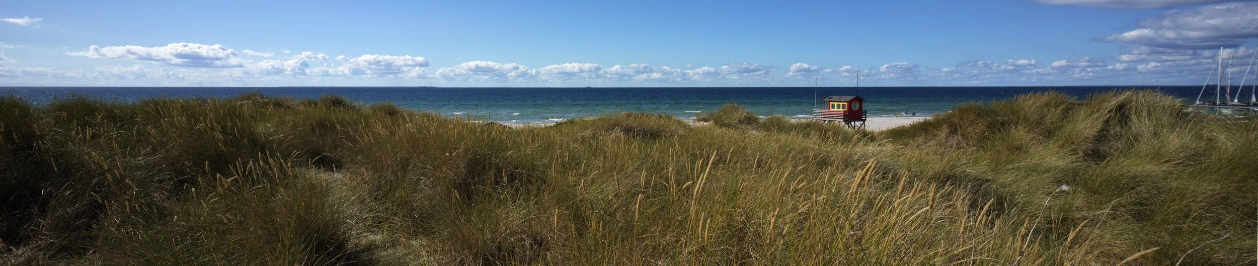 20250906 Pannonadvakten .jpg