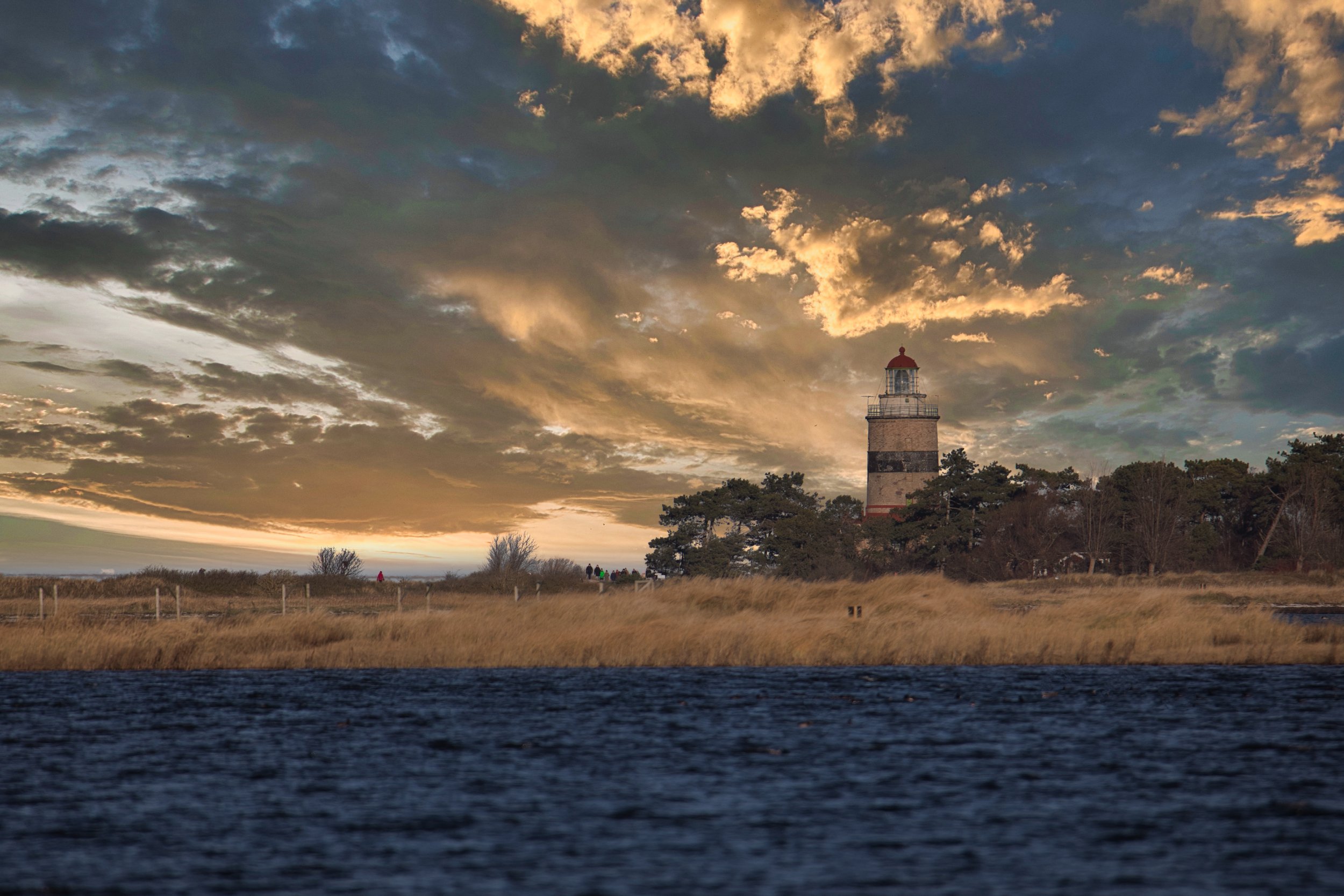 Edvard Piper22-01-065482.jpeg