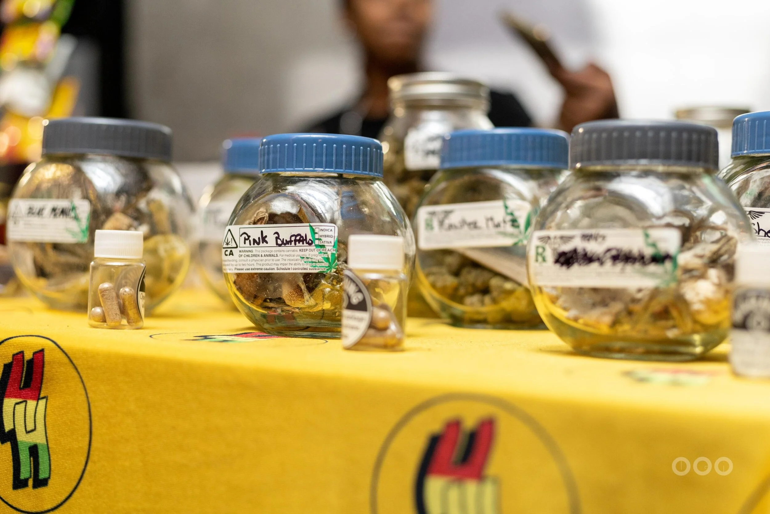 The Chaz Effect 31.jpg