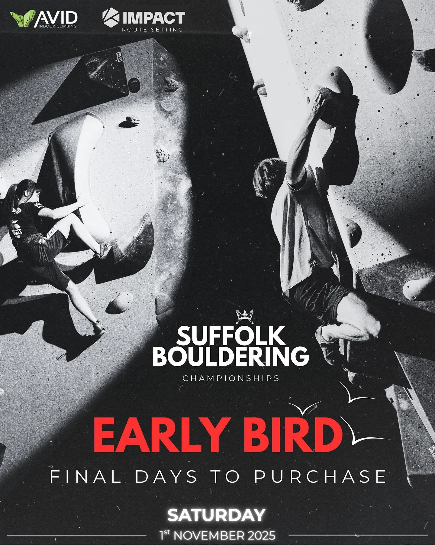 LINK IN BIO 🔗🚨

End of discounted price: MIDNIGHT 19th