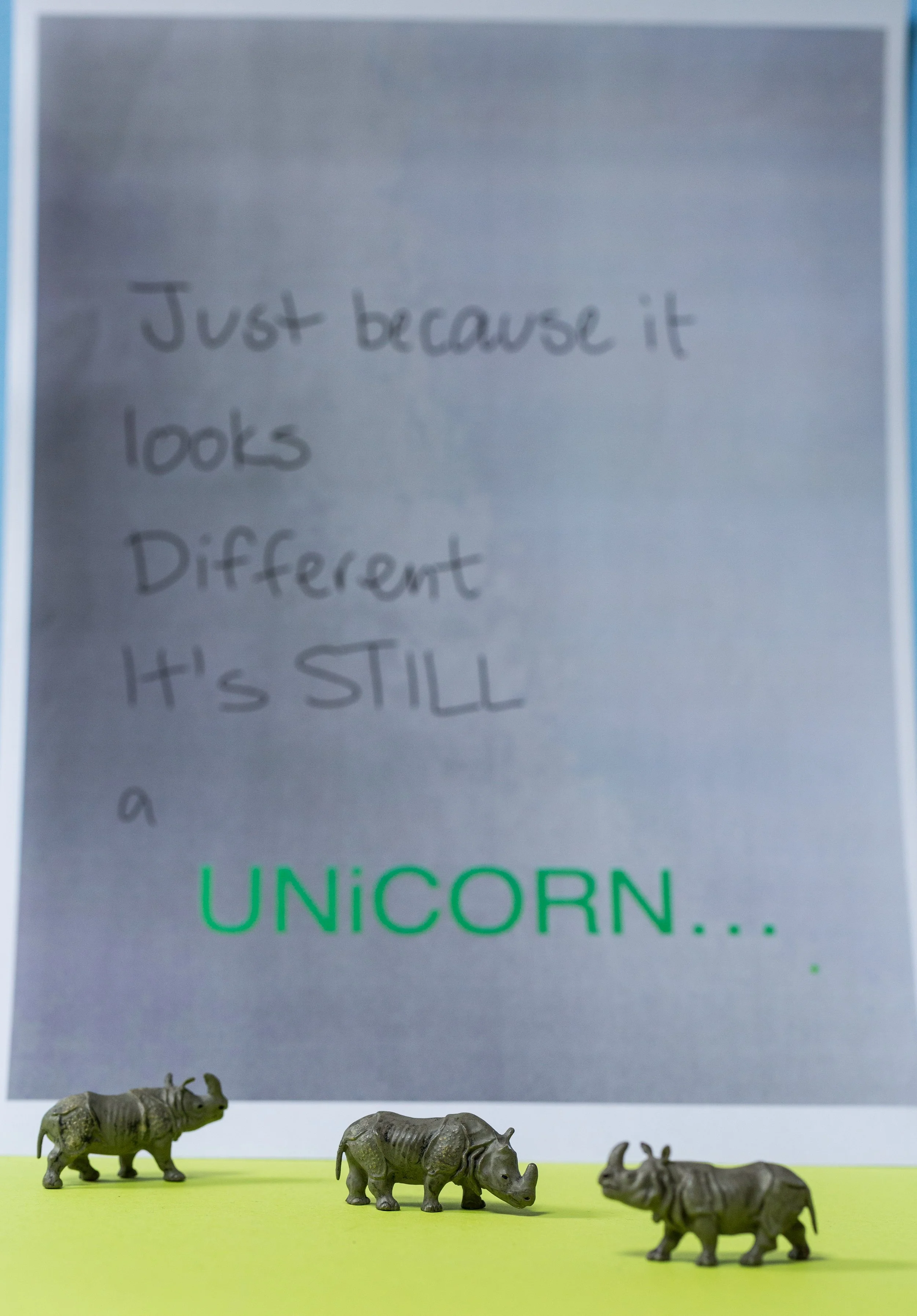 DGP MACRO (64).jpg