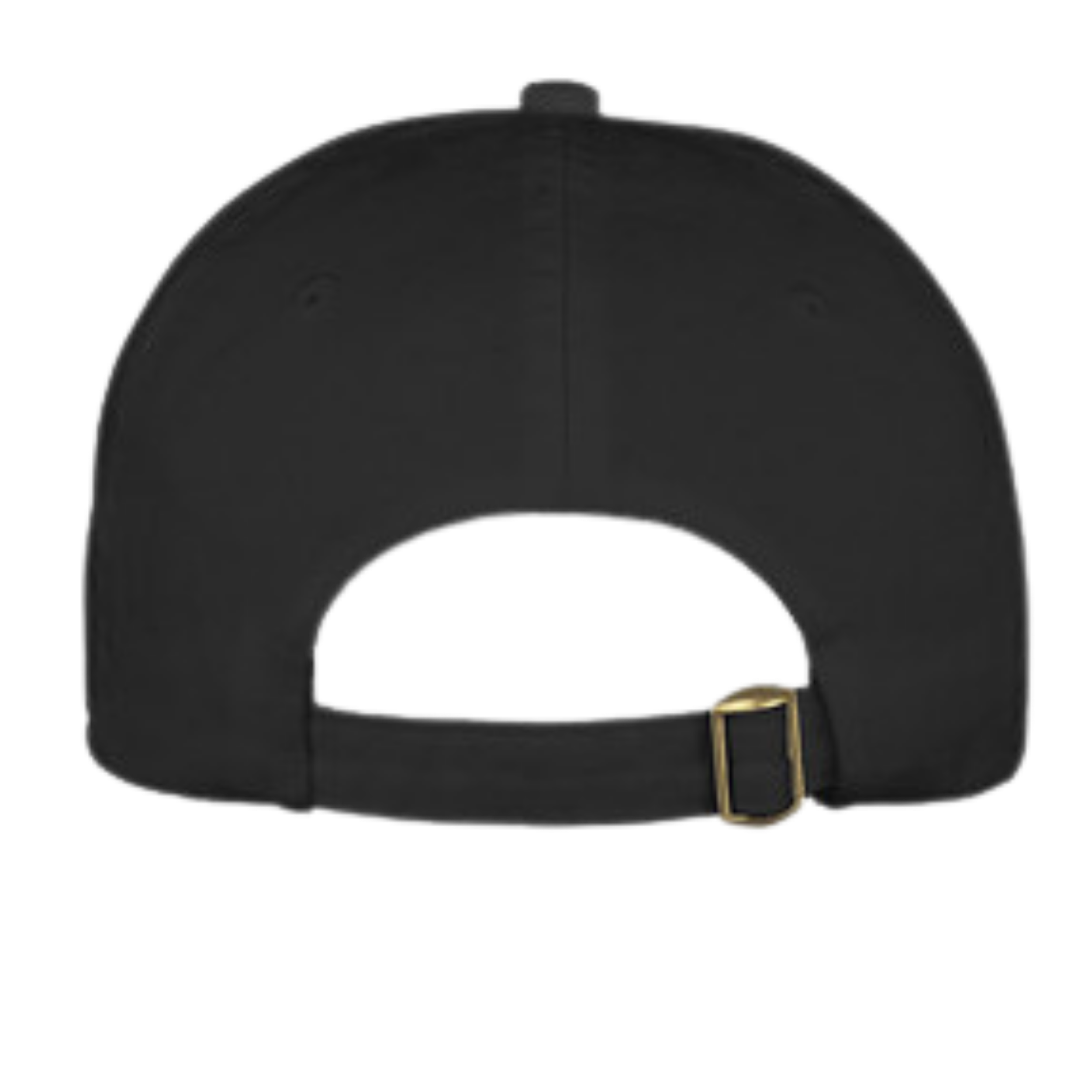 hat back.png