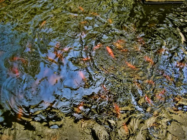 Upon Reflection