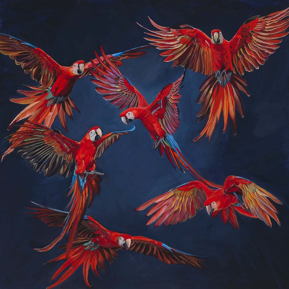Scarlet Milonga | Acrylic - Canvas | © Priya Gore