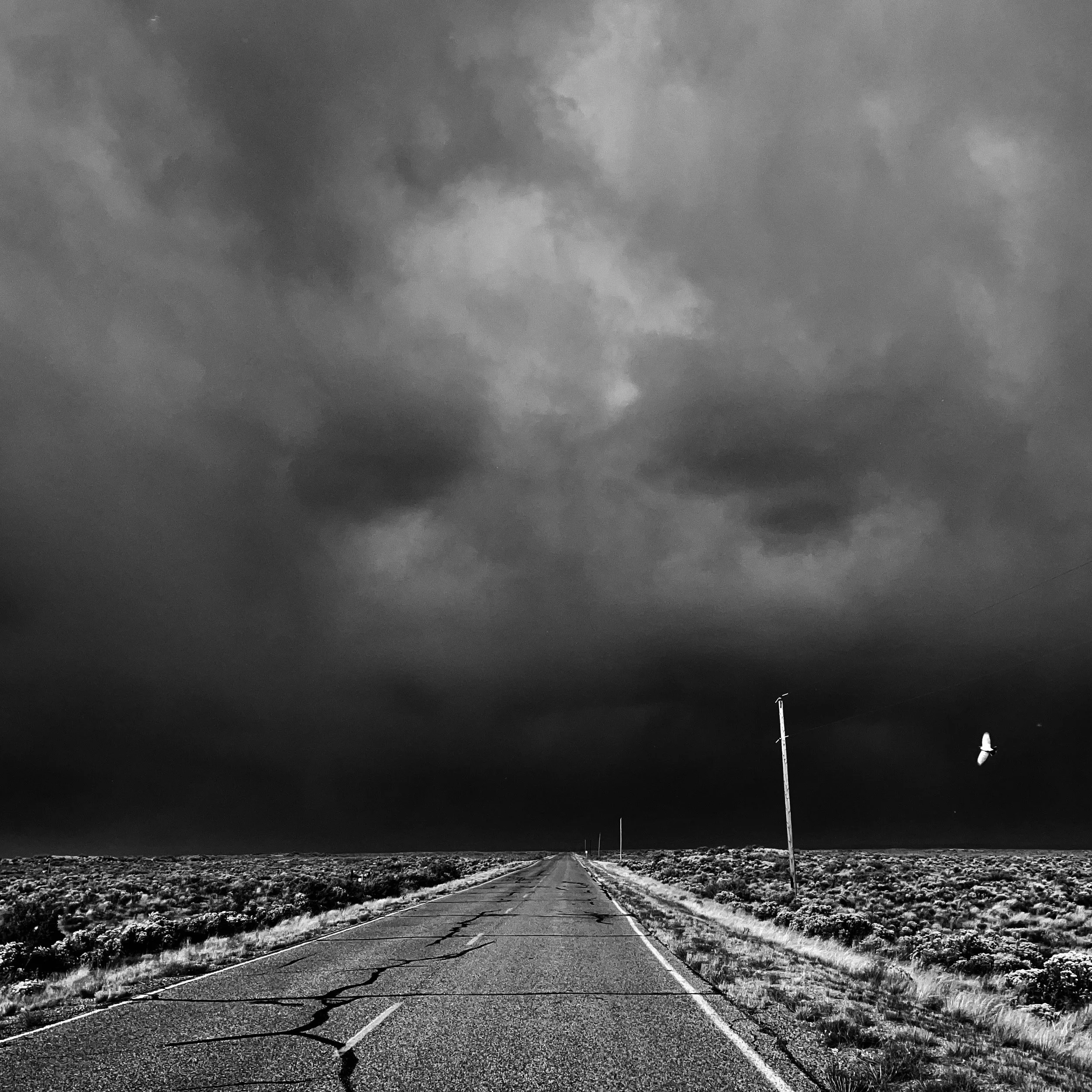 Look Up Look Down That Lonesome Road