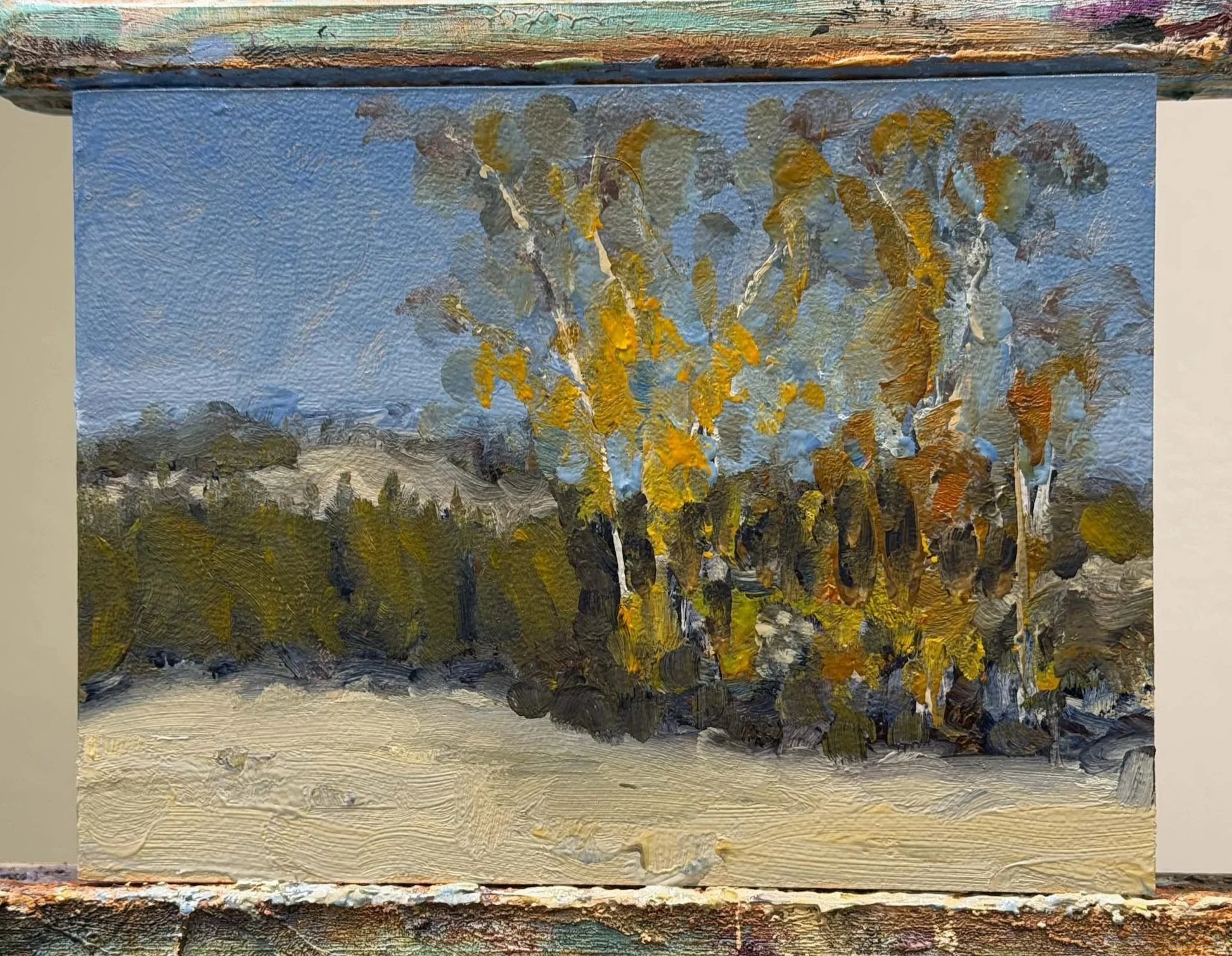 XXVII. The Study