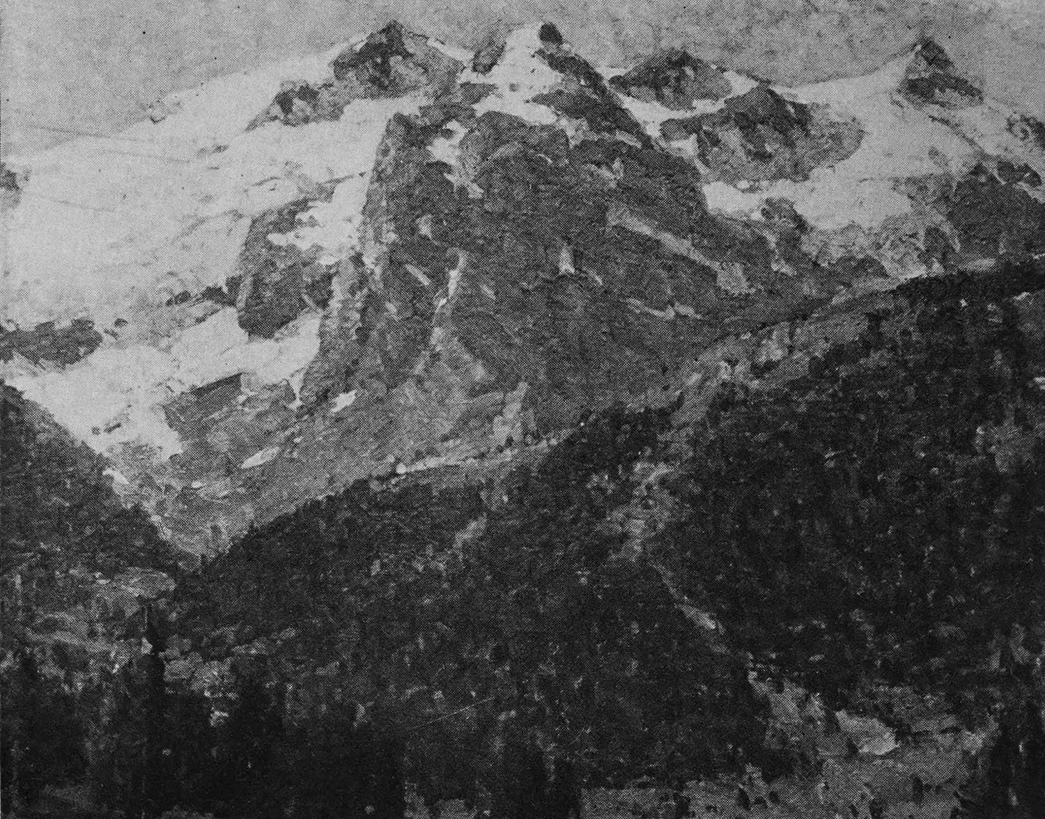 35 – Wooded Slopes