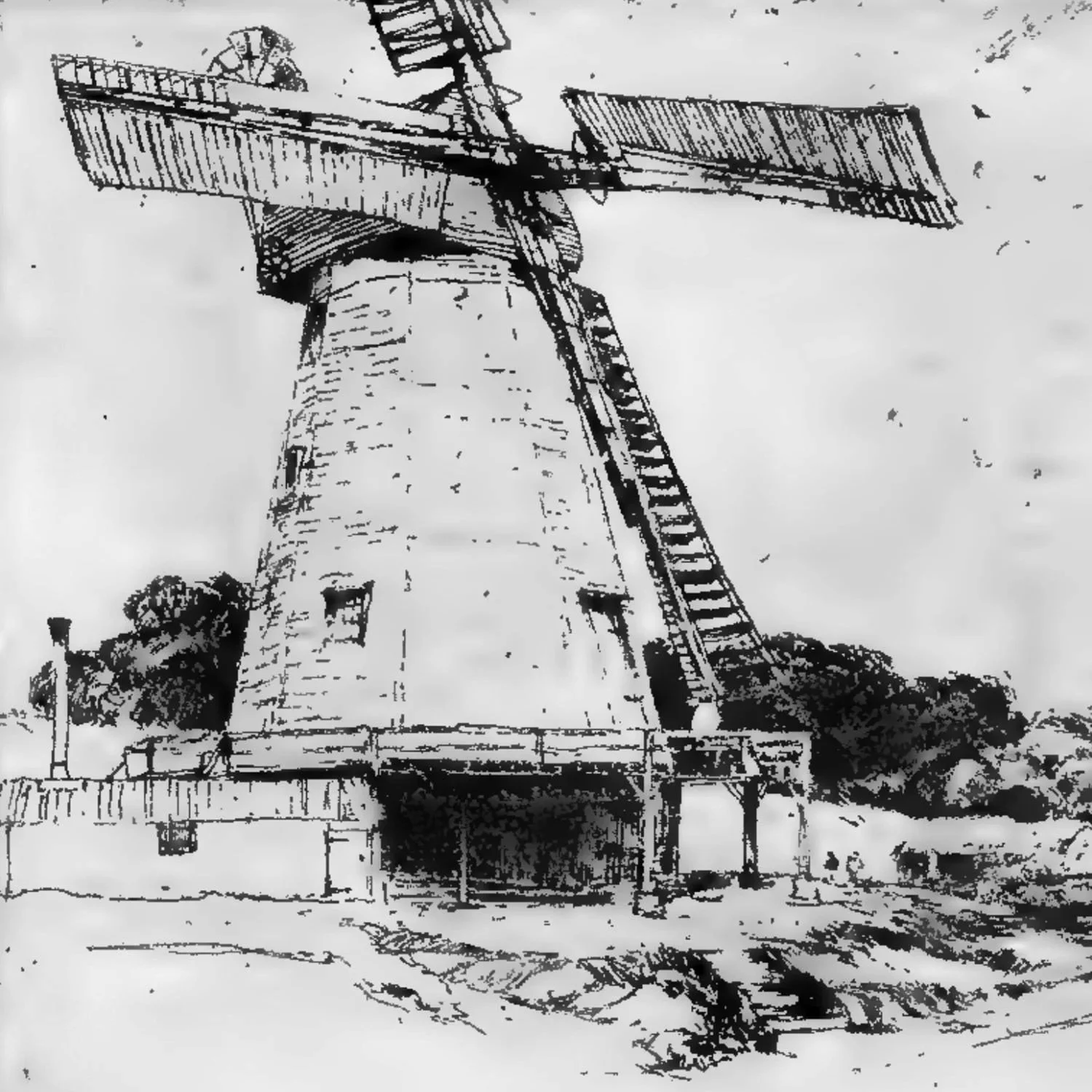 Chapter IV. Tone Area