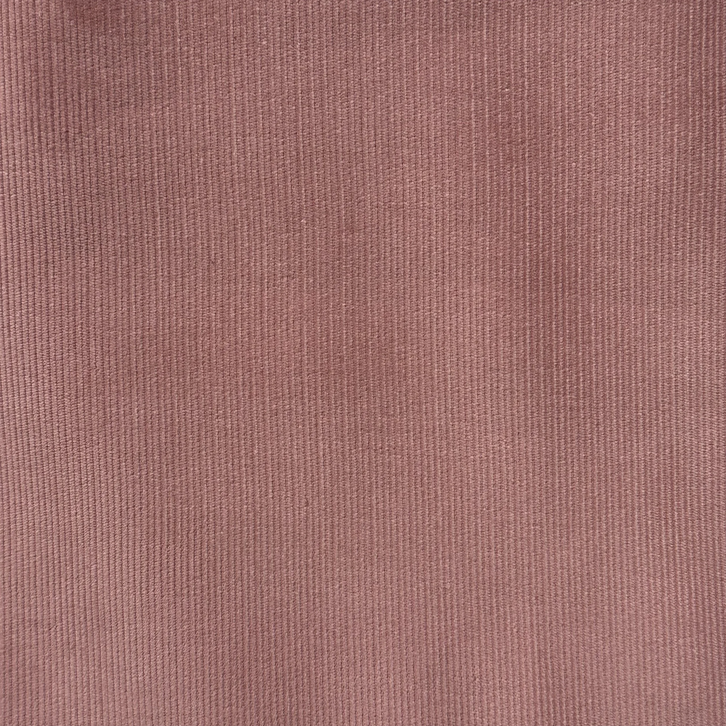 Blush Pink - Pinwale.JPEG