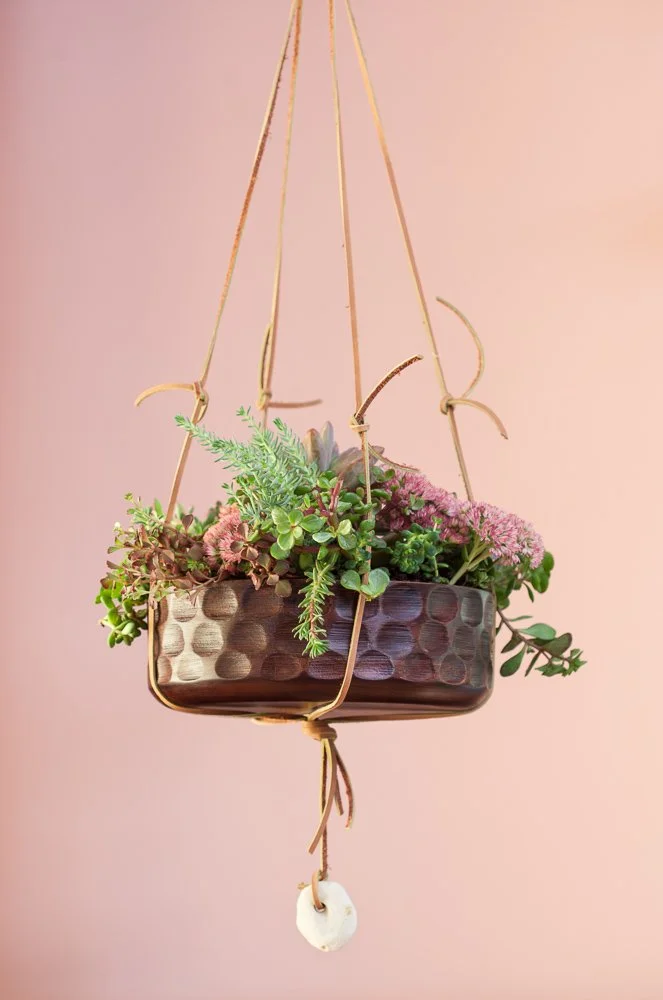 wood bowl planter.jpg