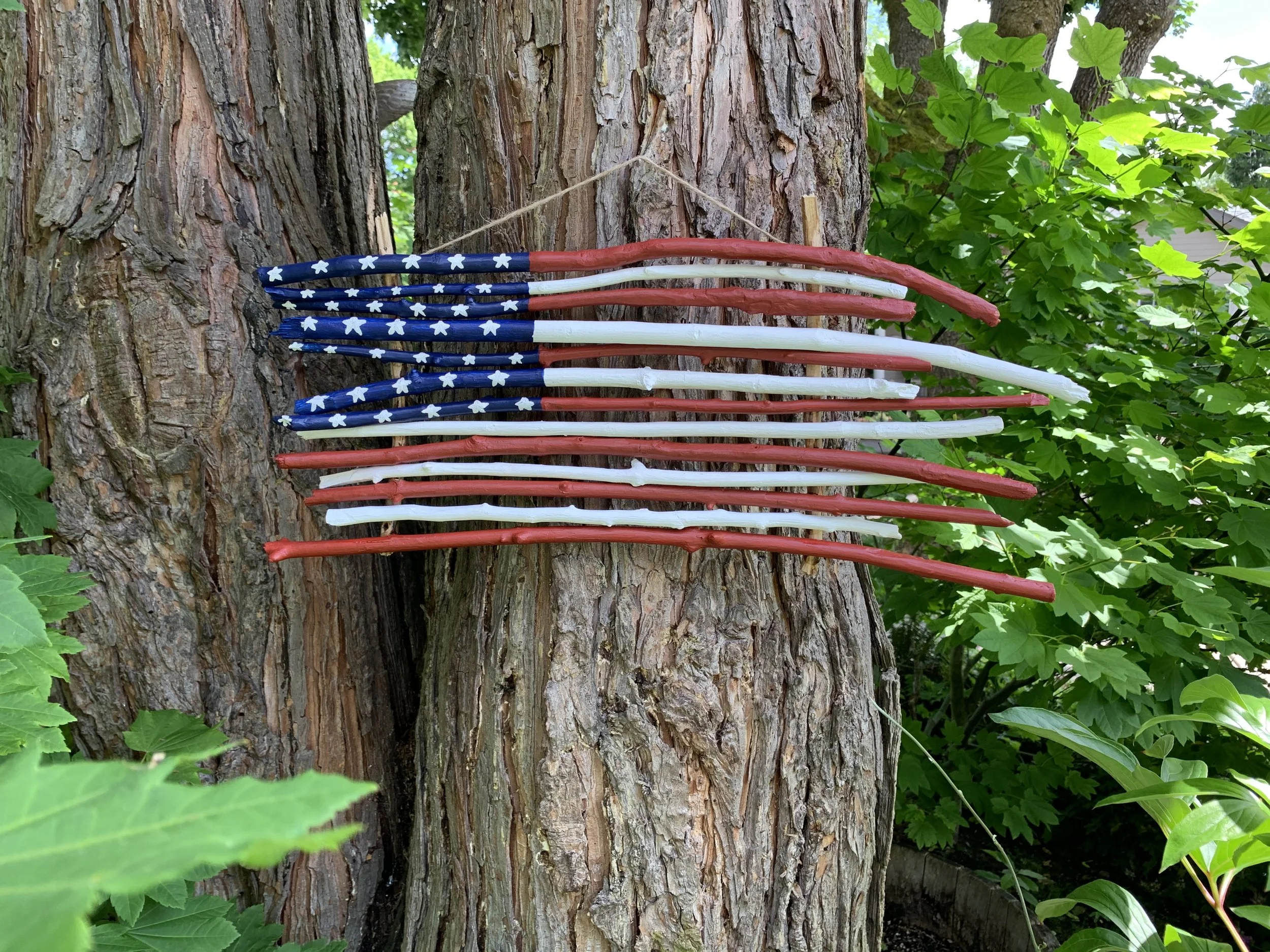 American flag with sticks.jpg