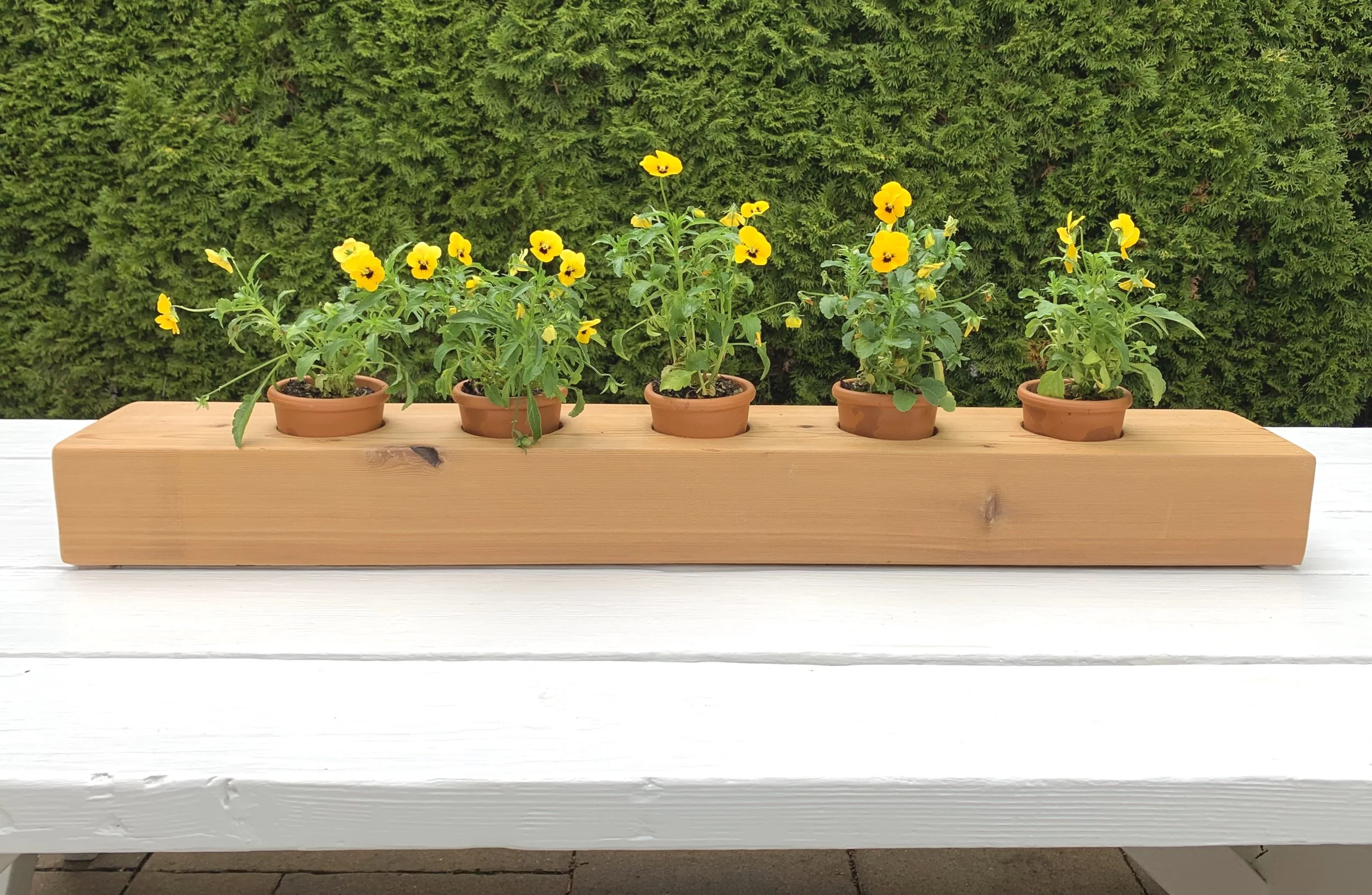 Woodblockplanter.jpg