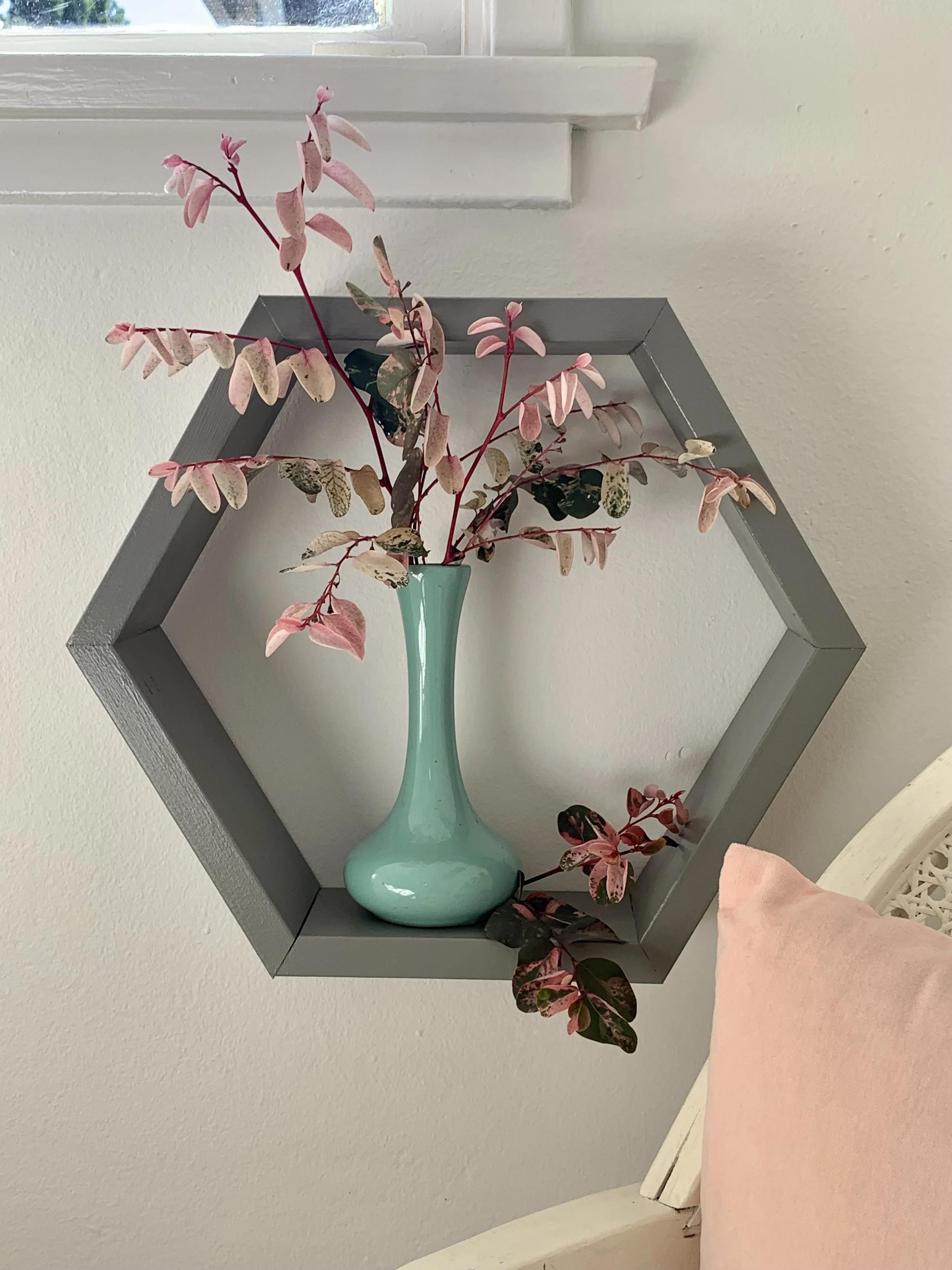 Hexagon Shelf.jpg