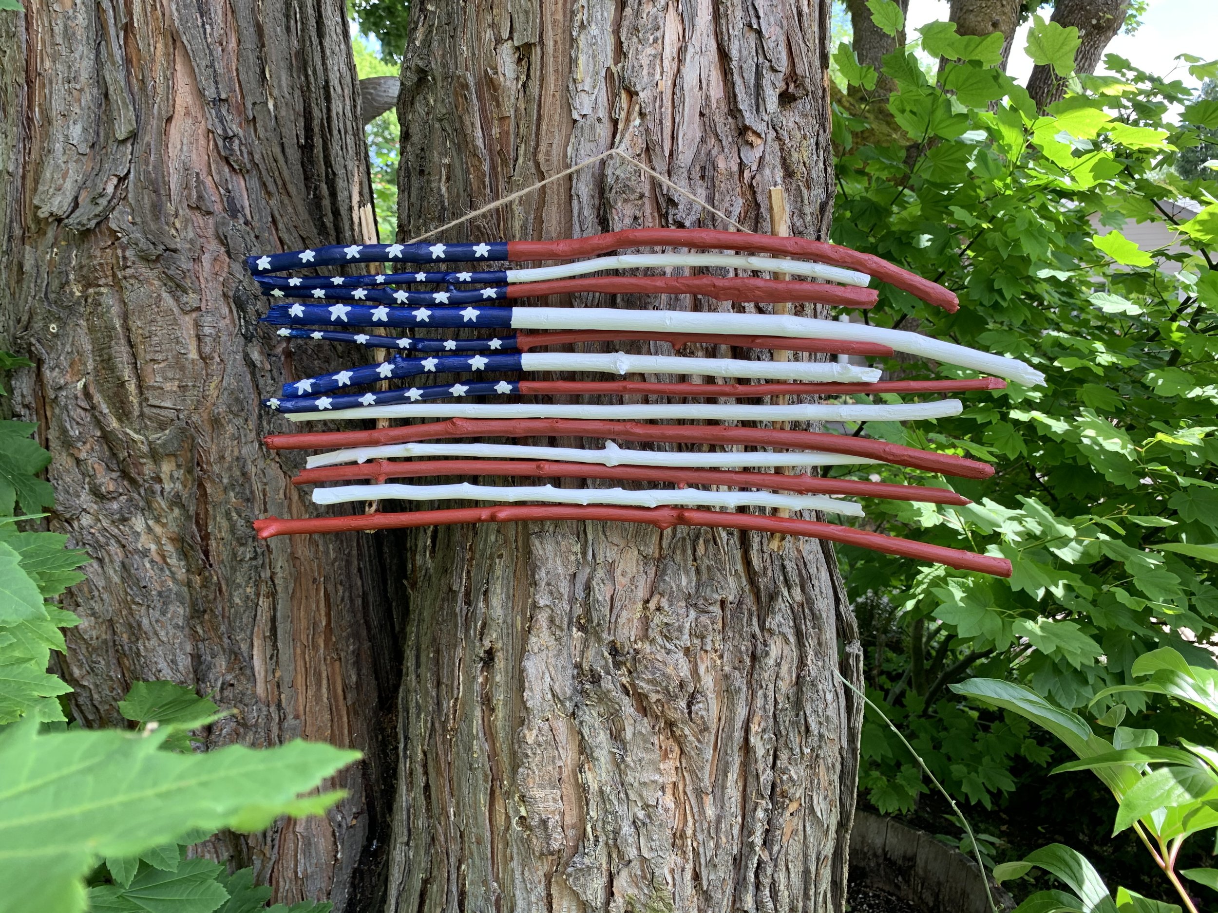 twig Flag After.jpg