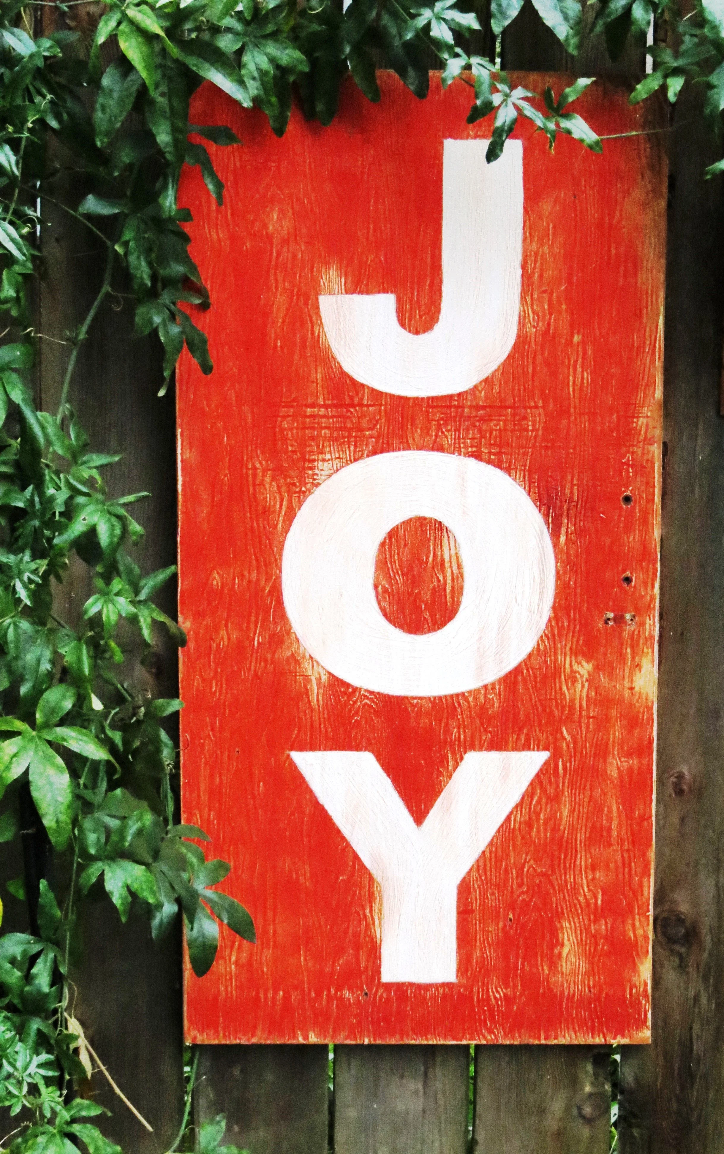 JOY sign.JPG