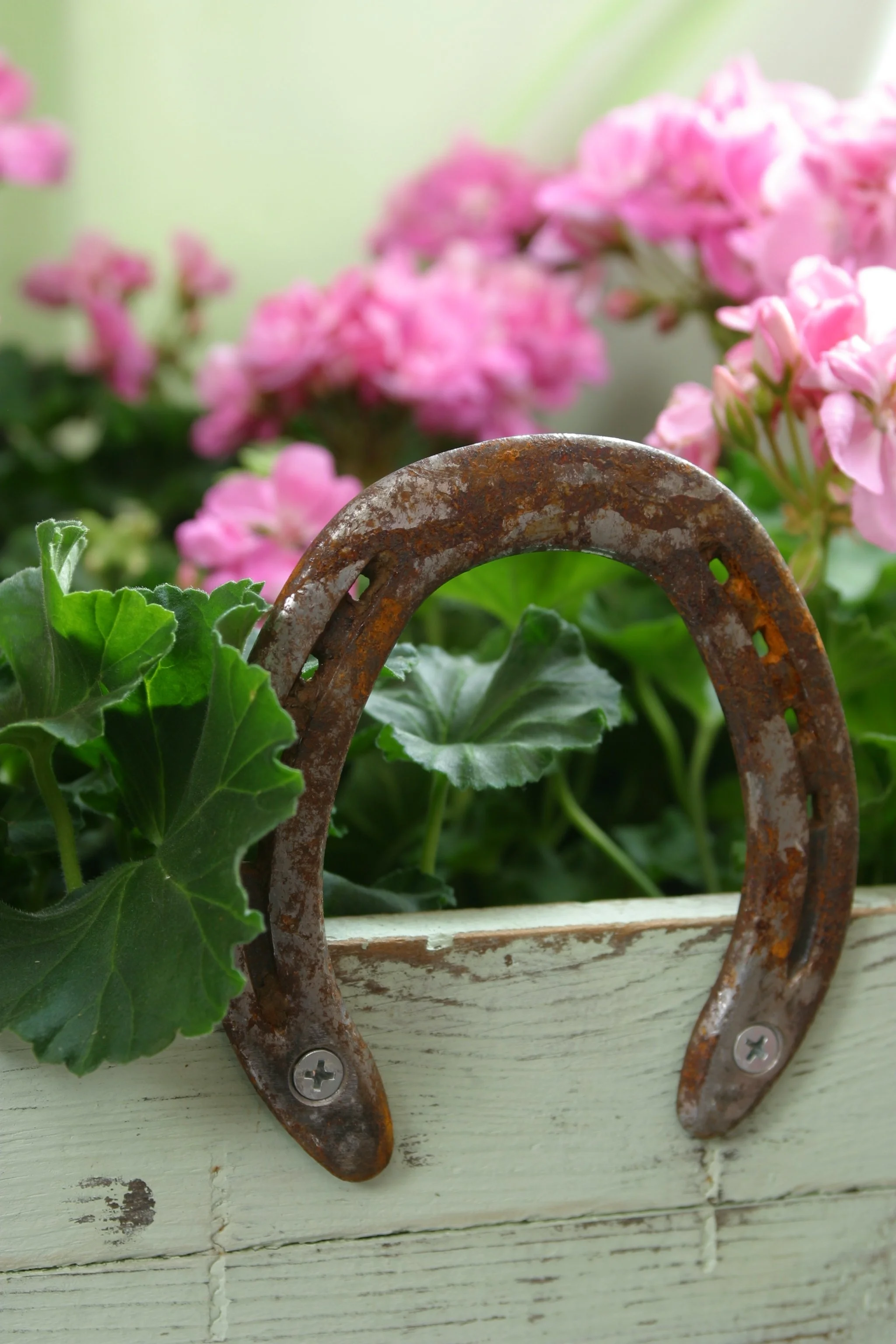 Horseshoe Handle.JPG