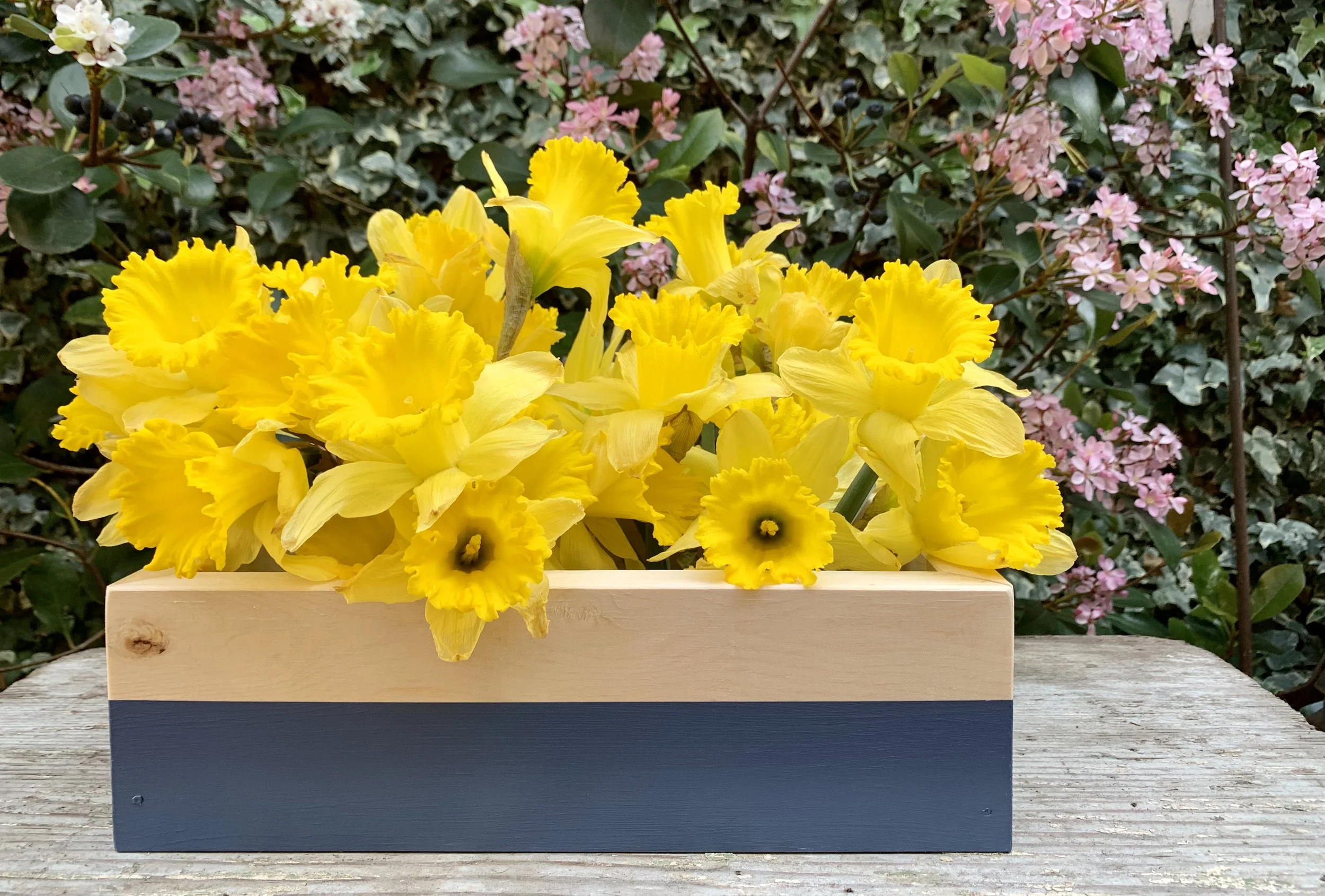 Bottomless planter box.jpg