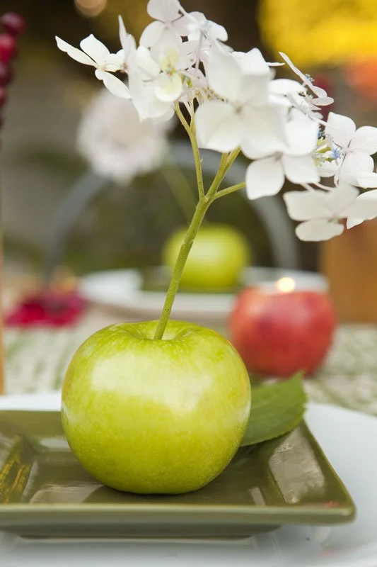 stickaflowerinanapple .jpg