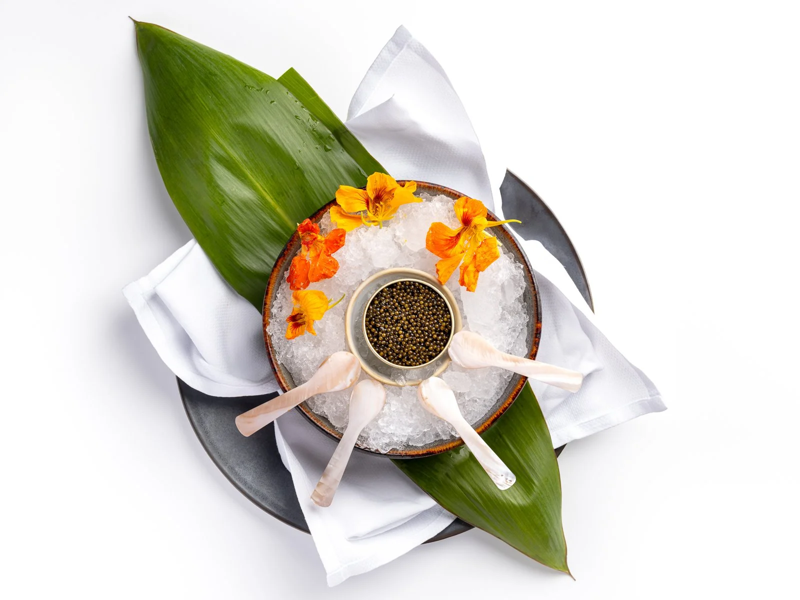 Web Optimized-0015.jpg