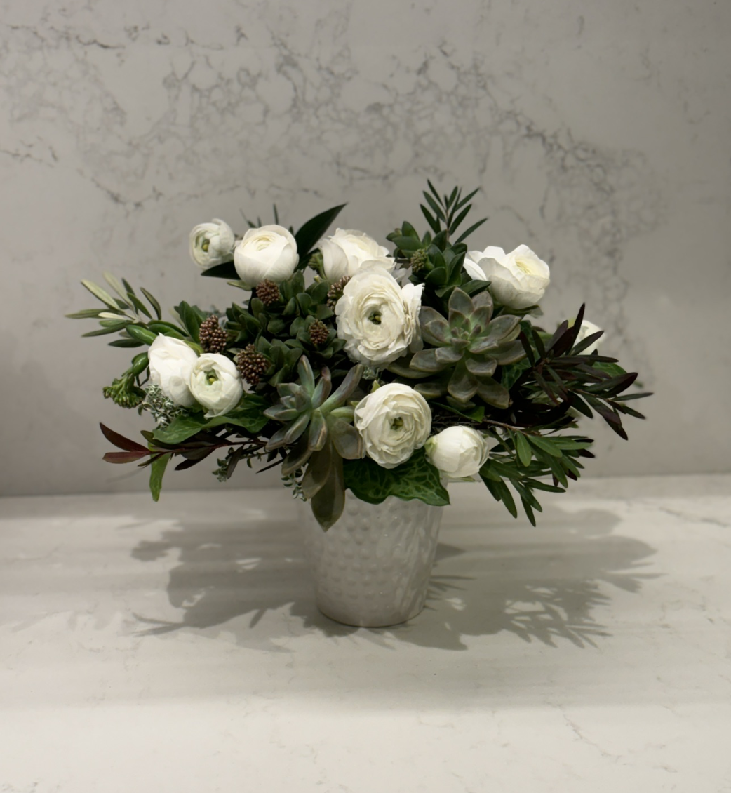 description coming soon