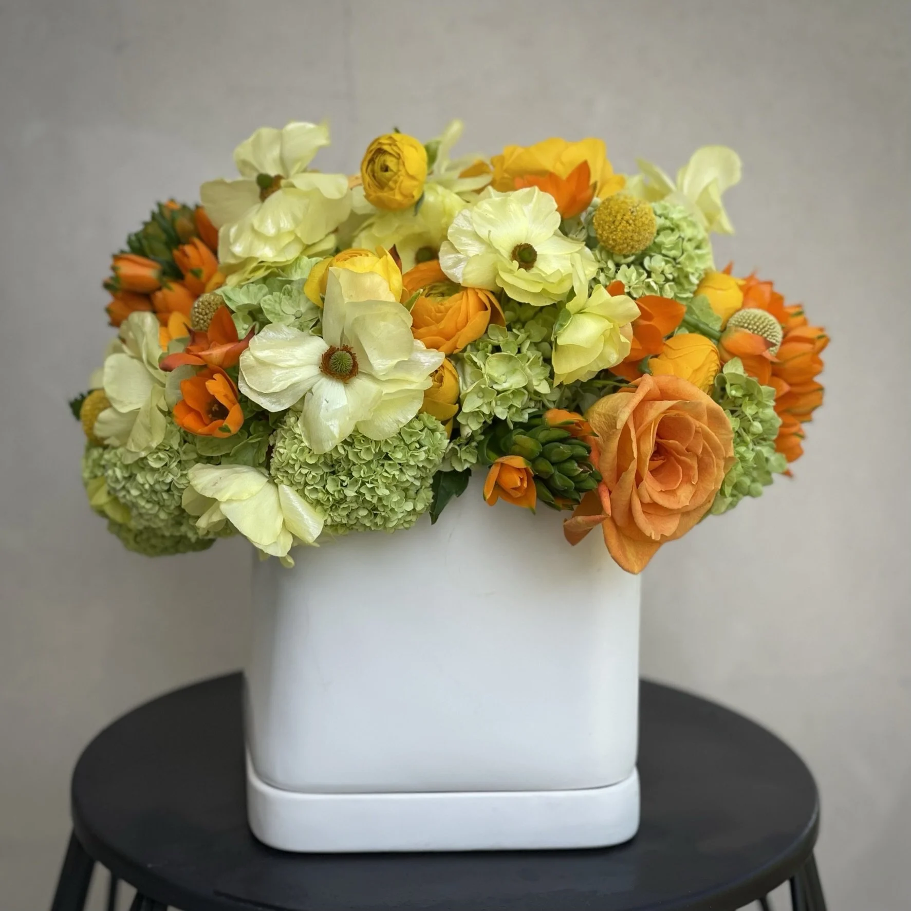 Description coming soon 