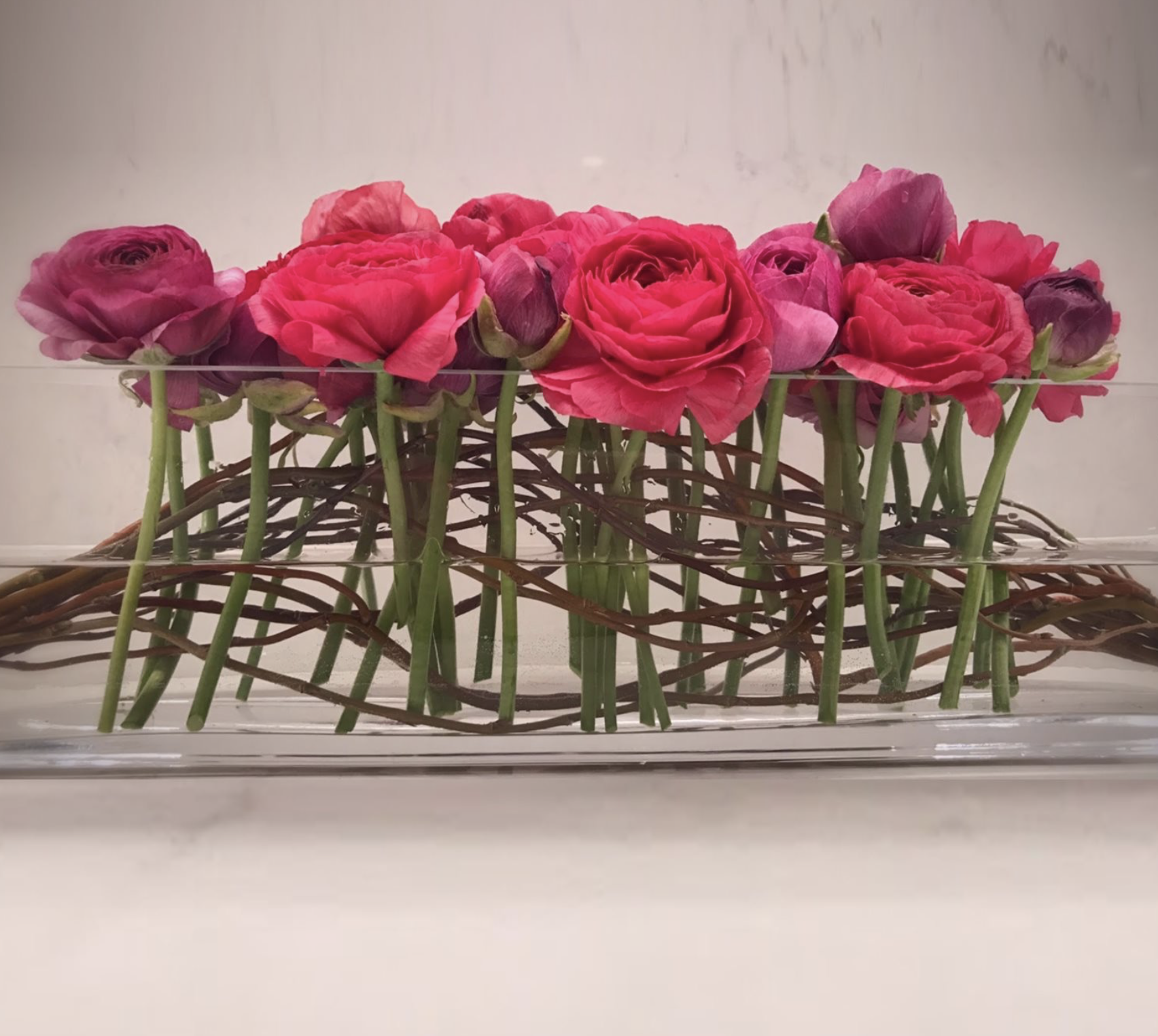 Cloony Ranunculus and Willow Branch