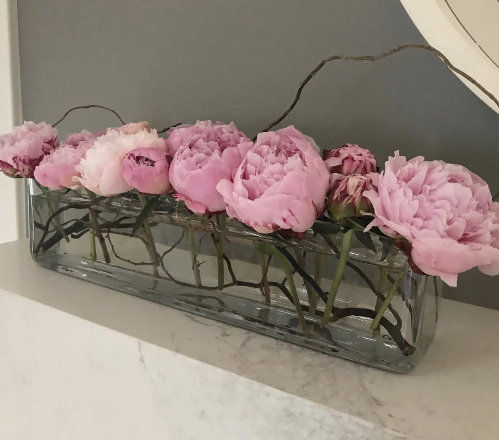 Peony and Willow Branch