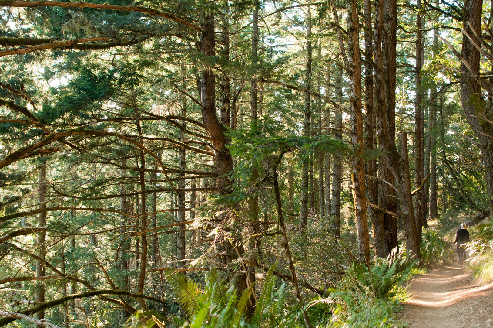 StinsonBeach_WebEdit-.jpg