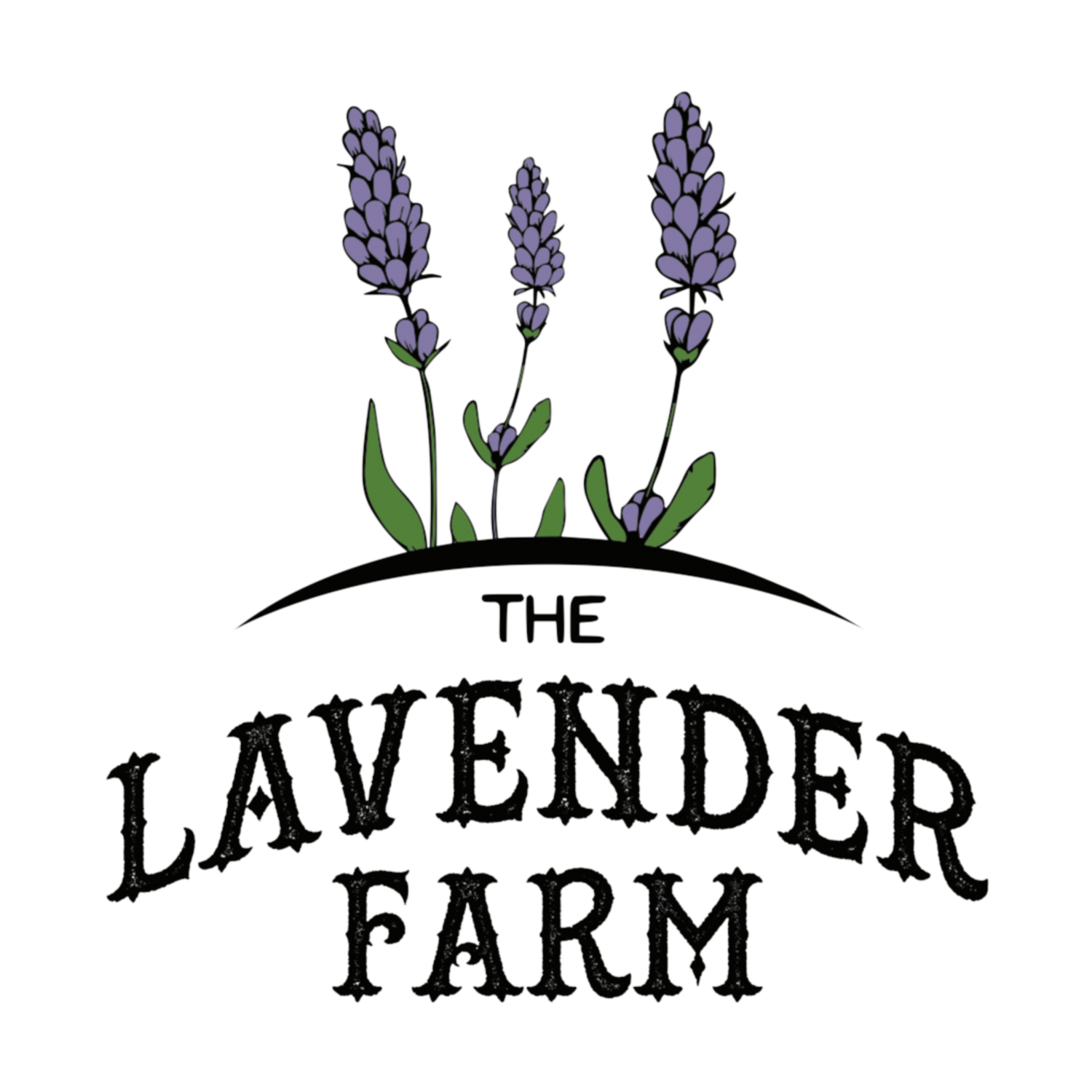 The Lavender Farm