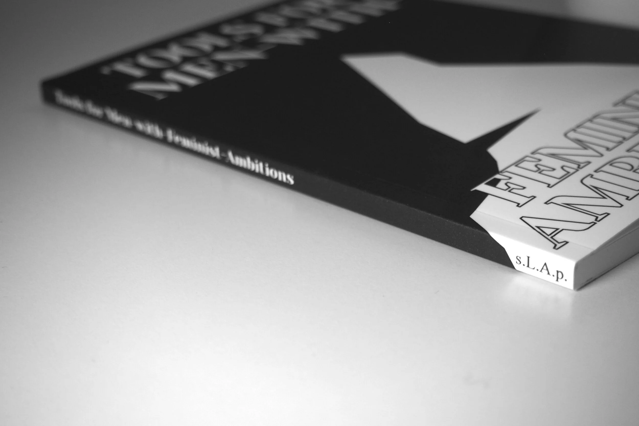 An image showing the sideview of Tools for Men-with-feminist-ambitions