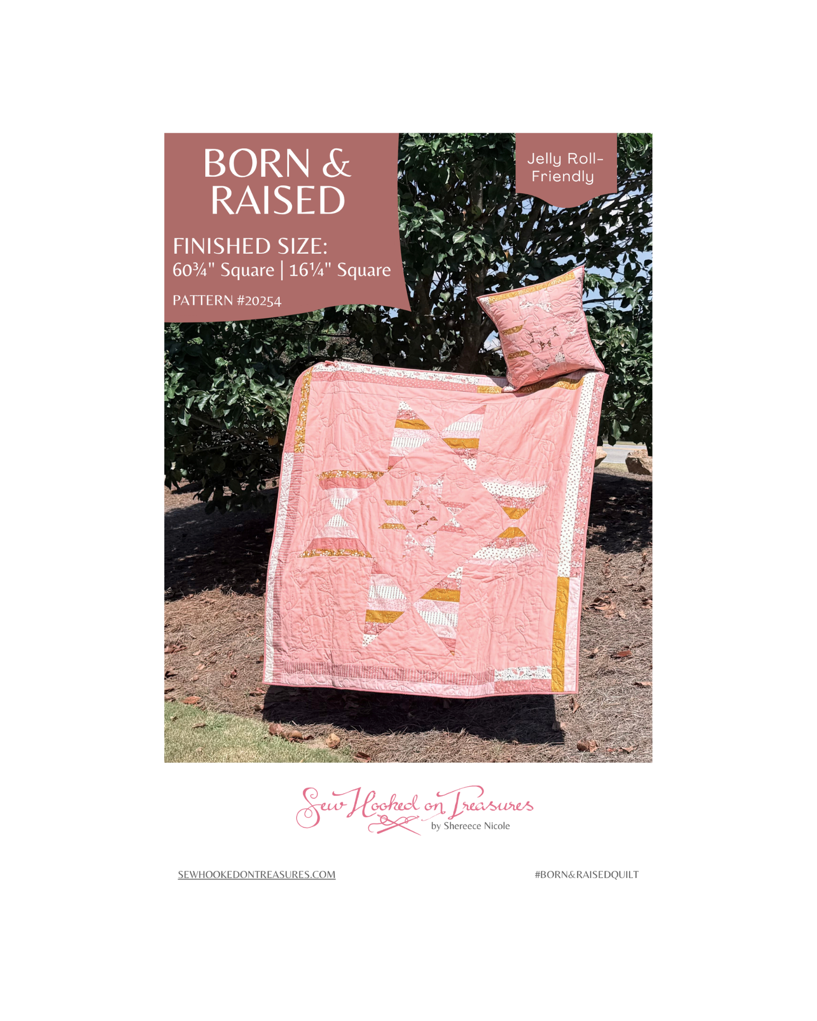 Born and Raised Quilt Pattern by Sew Hooked on Treasures