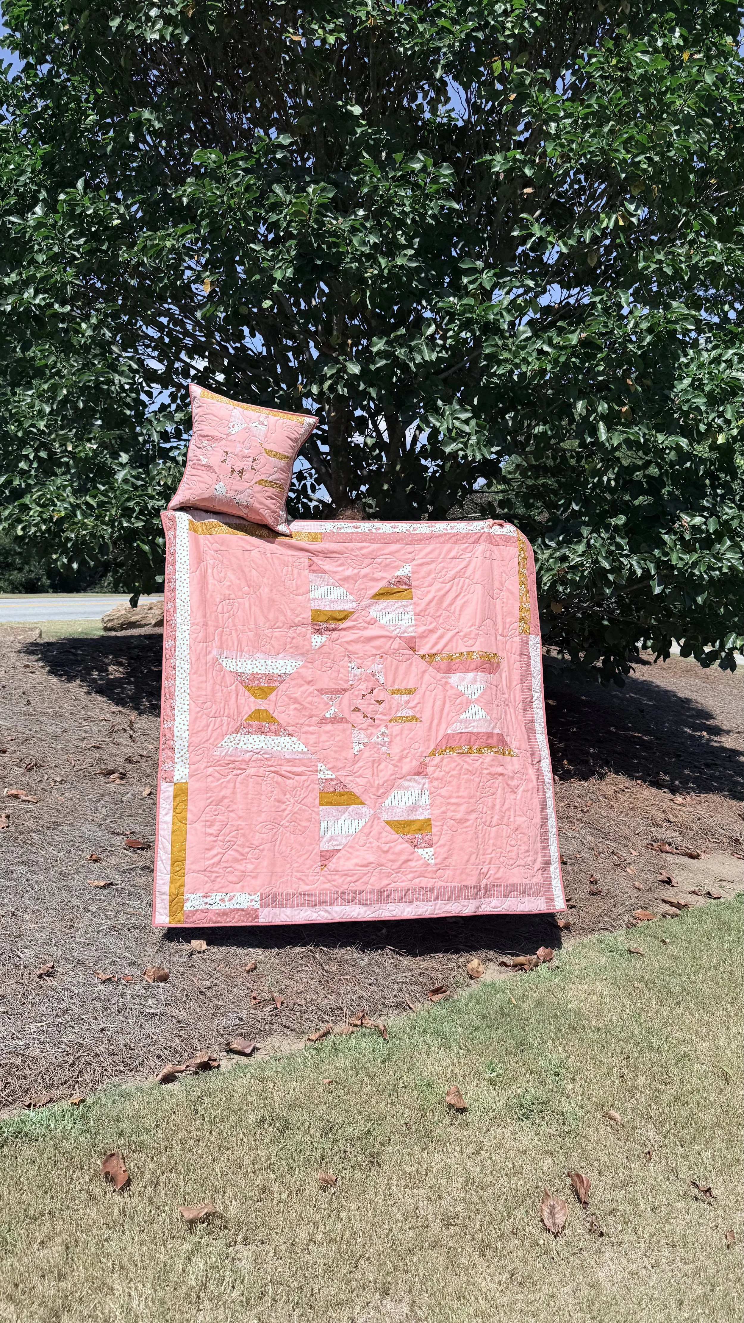 Born and Raised Quilt Pattern by Sew Hooked on Treasures