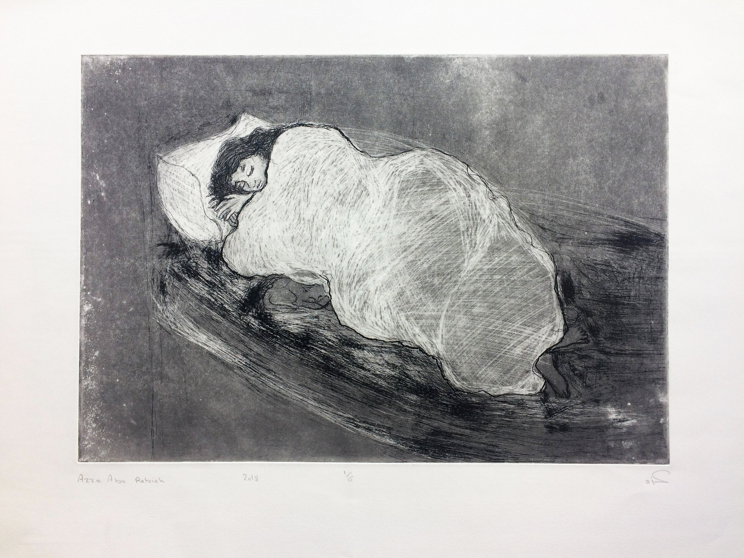 " Plate 26 " : 50 x 35 cm .
Etching , aquatint , Mezzotint on Hahnemuhle paper 2018