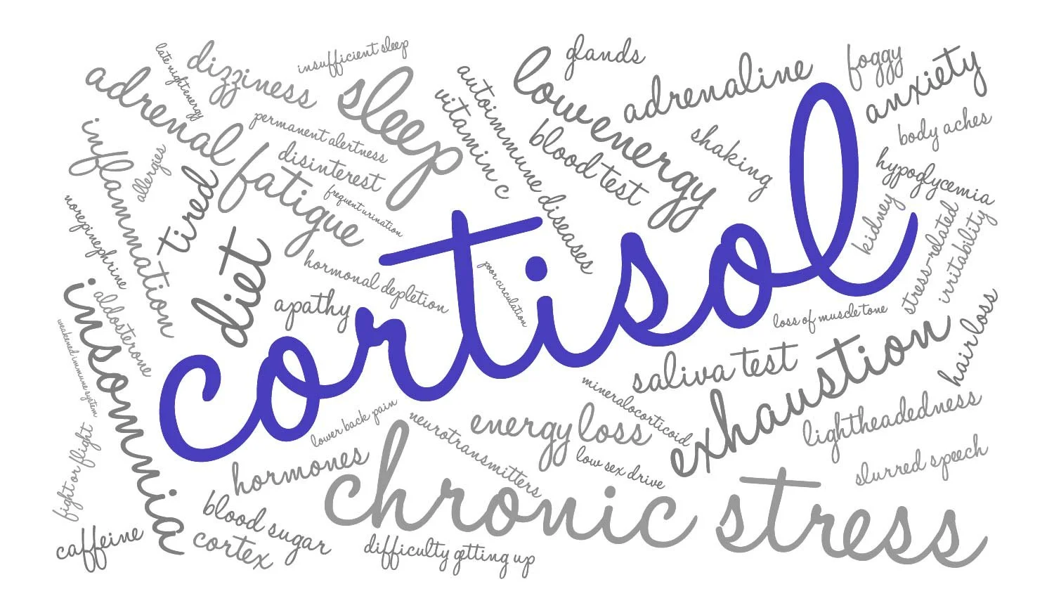 The Truth About Cortisol: How Stress Hormones Affect Your Body