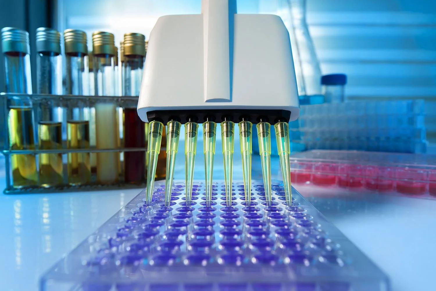 What to Expect from a Full Wellness Lab Panel at OTR Health &amp; Wellness