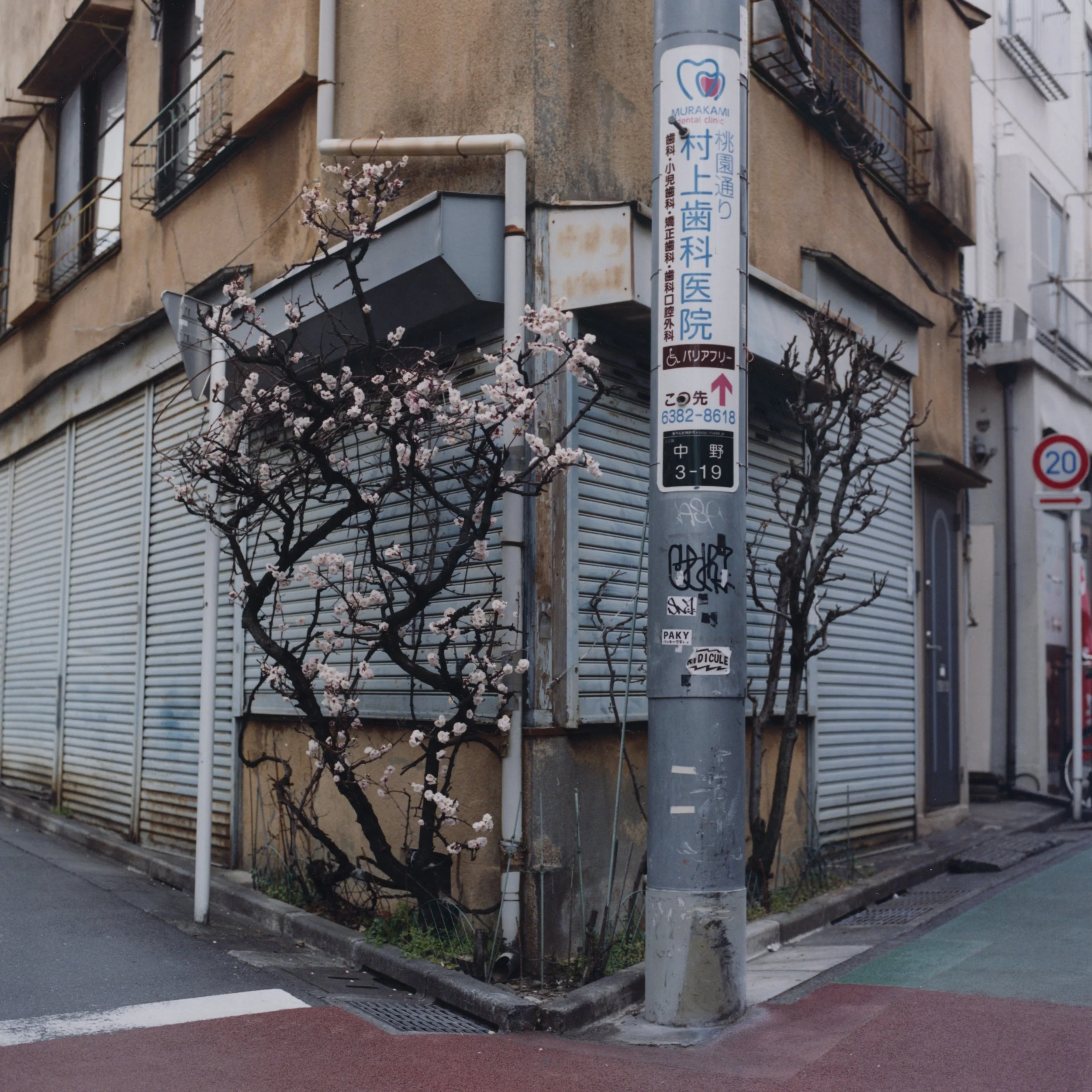 Joe Magowan-Tokyo (1).jpg