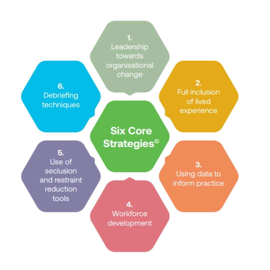 Six Core Strategies Initiative and Learning Community