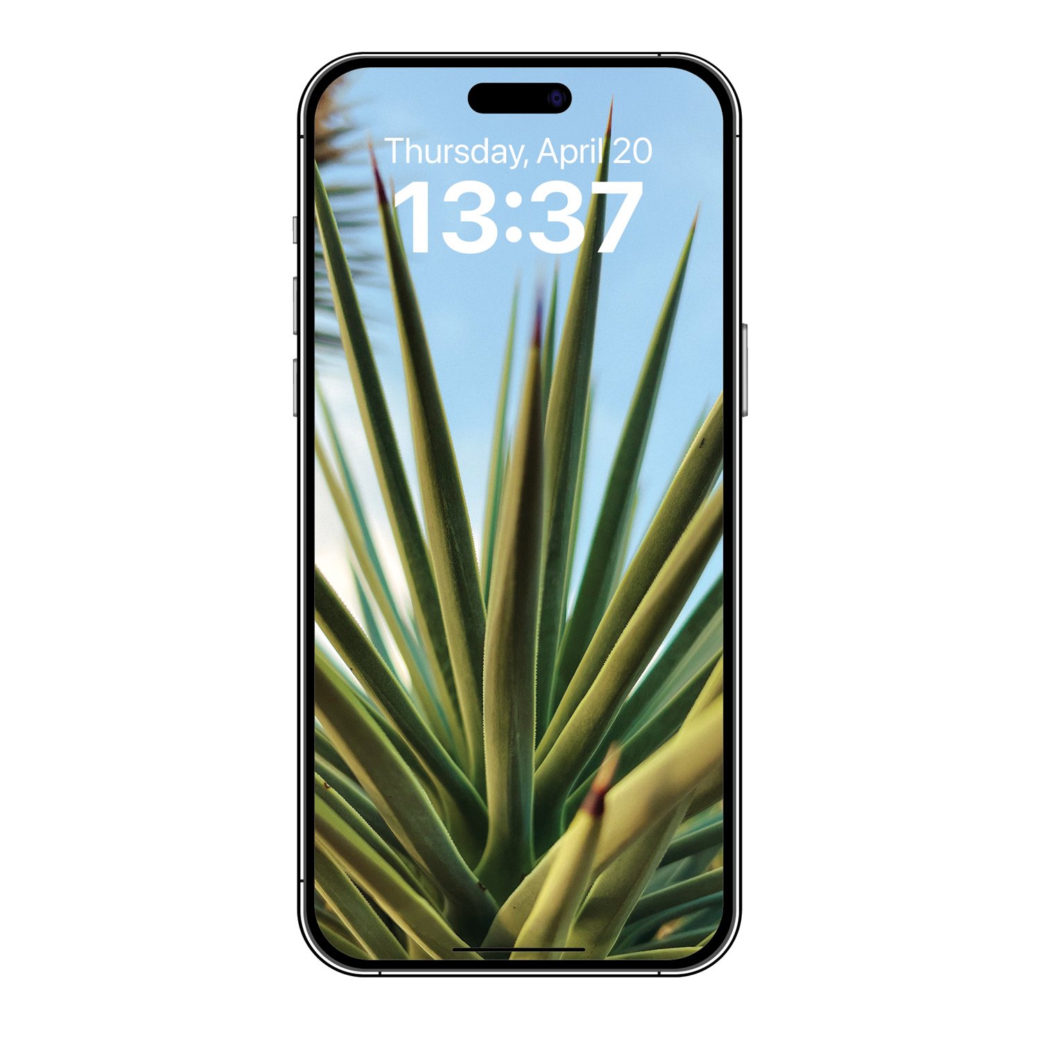 Point-green-1-josesierra-PHONE.jpg