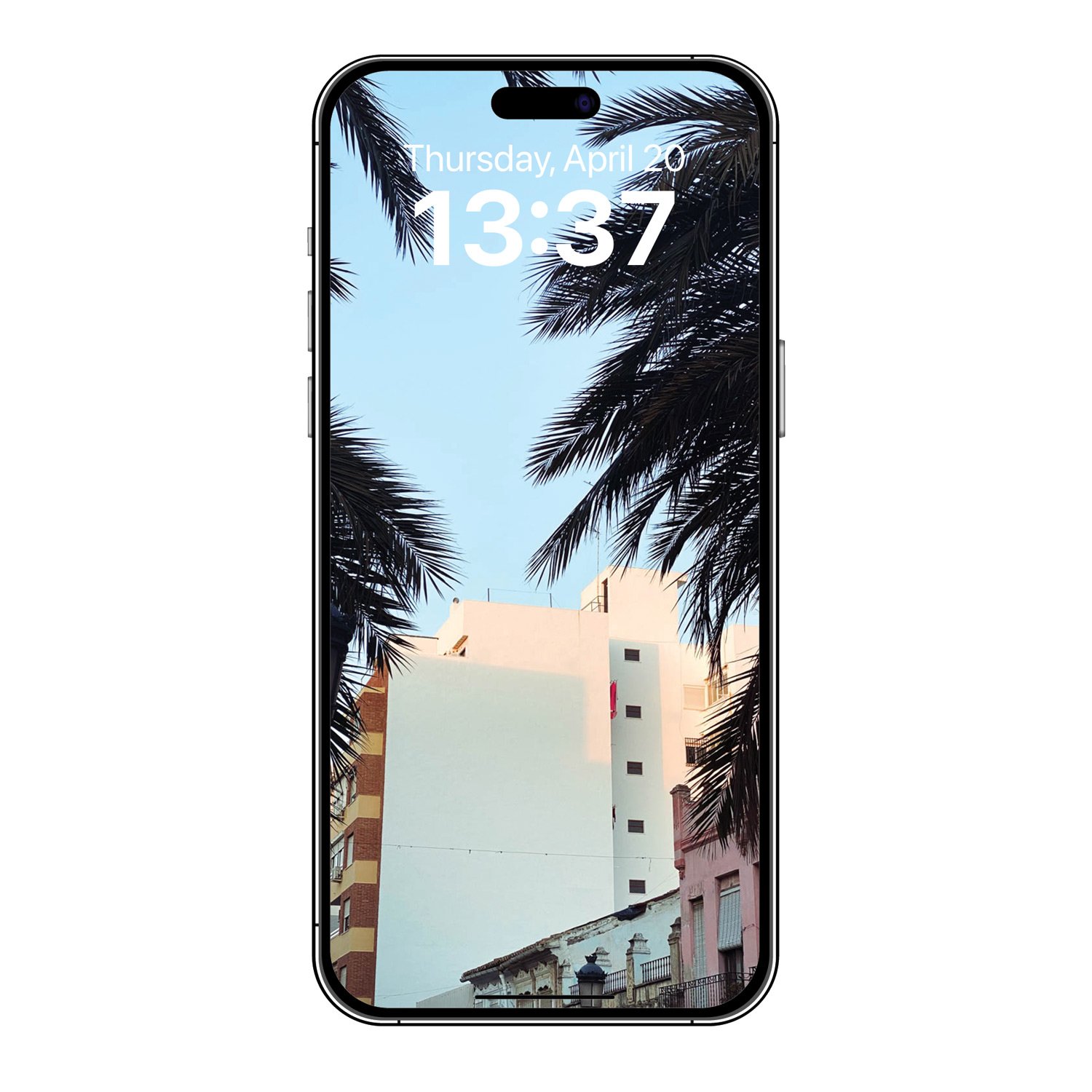 Palms-1-josesierra-PHONE.jpg