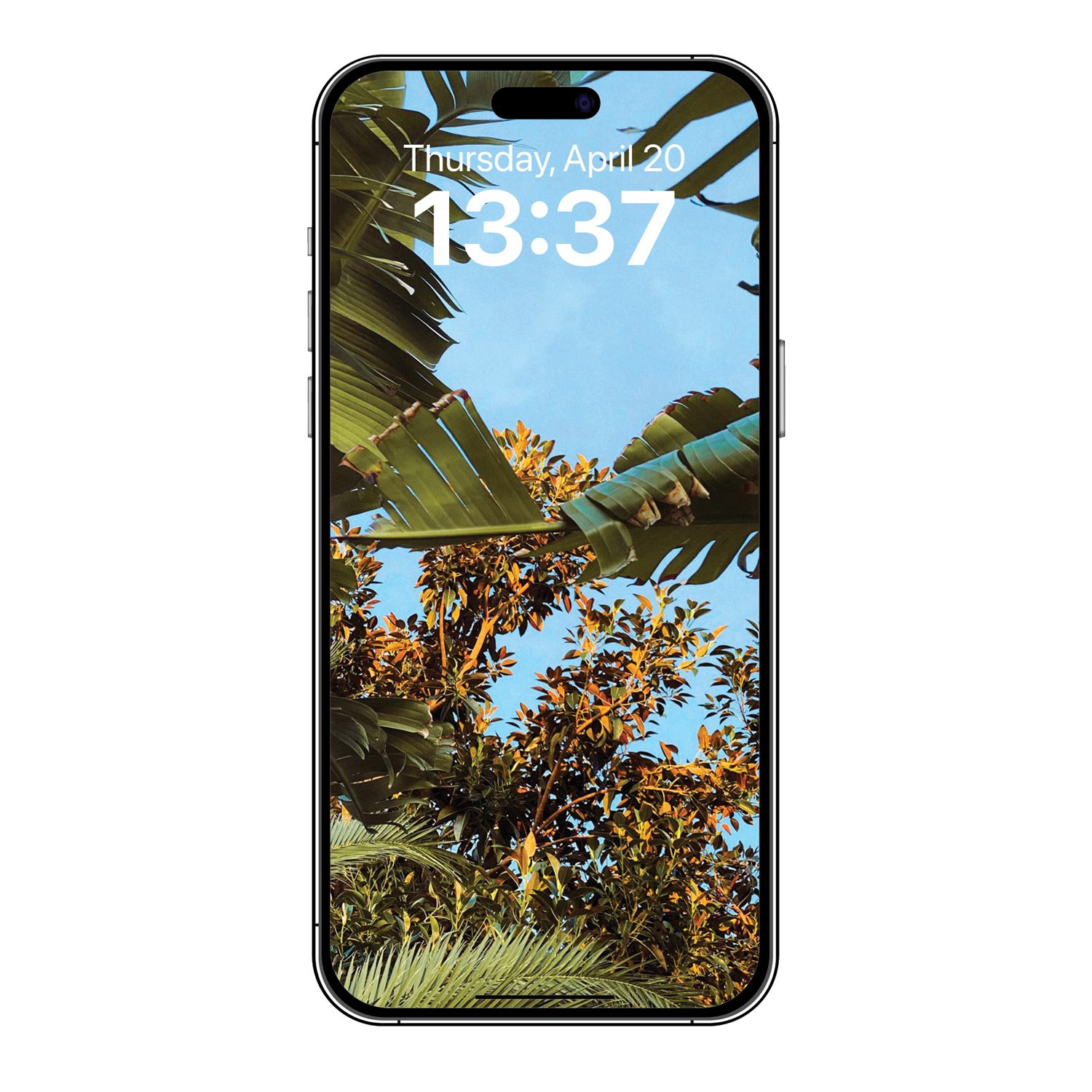 Refresher-1-josesierra-PHONE.jpg