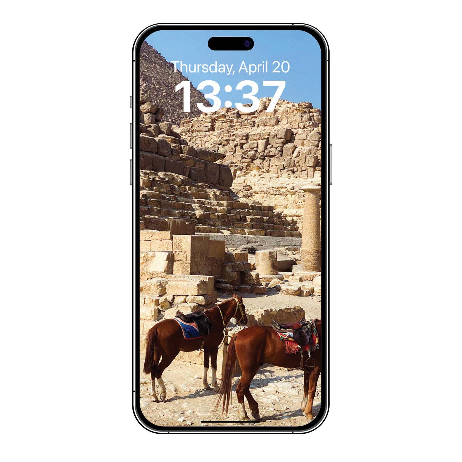 2H1D-josesierra-PHONE.jpg