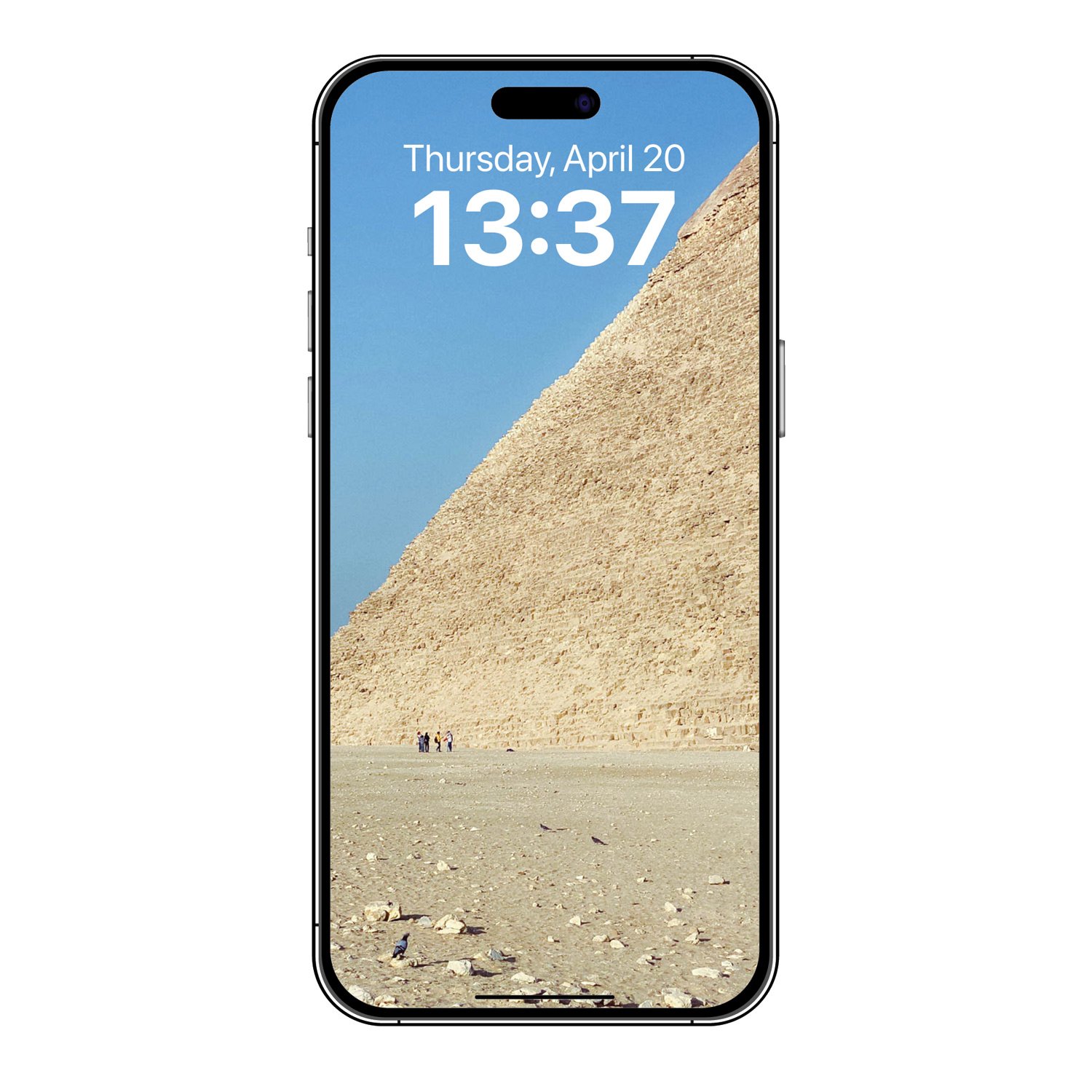 Pigeon-for-Scale-1-josesierra-PHONE.jpg