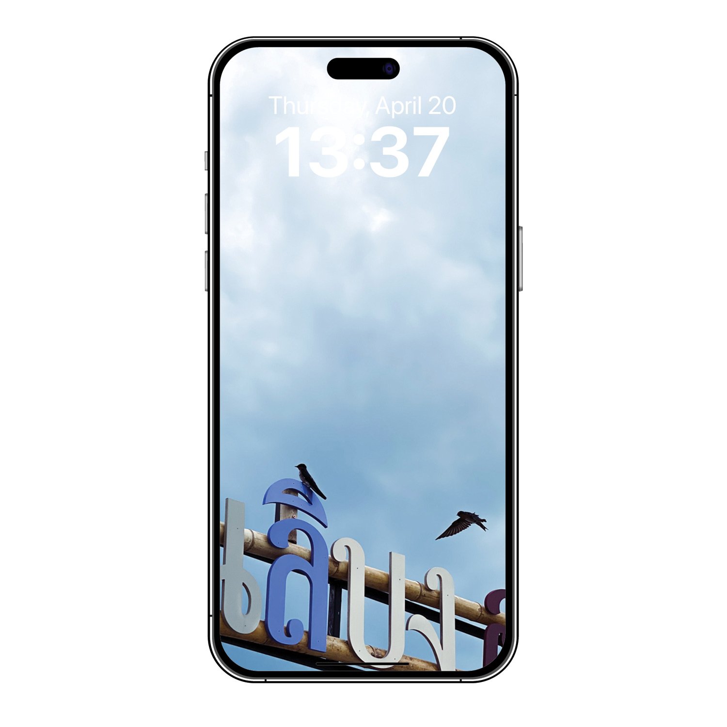 Bird-Pair-1-josesierra-PHONE.jpg