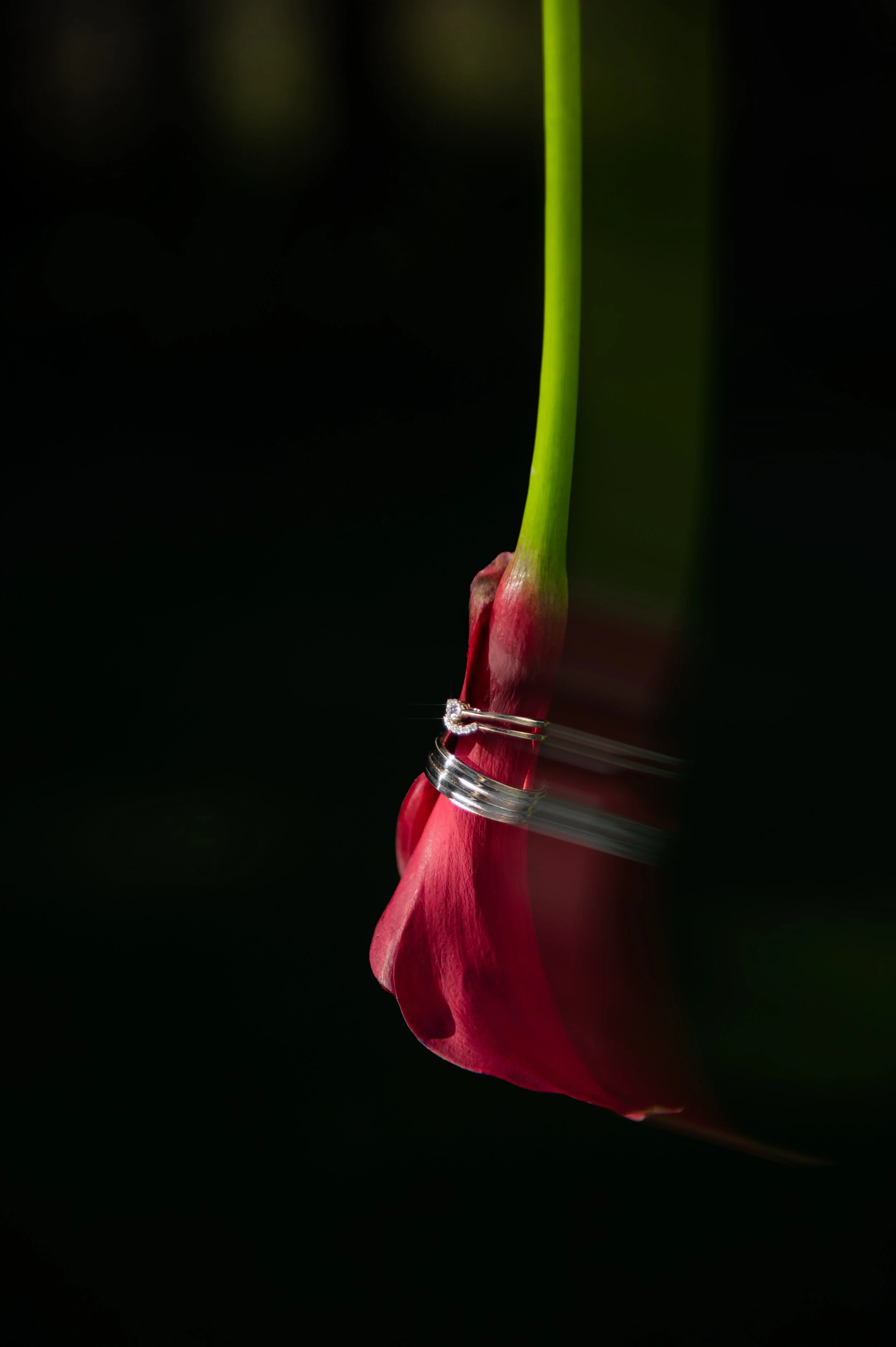 DSC_6793-Modifier-3.jpg