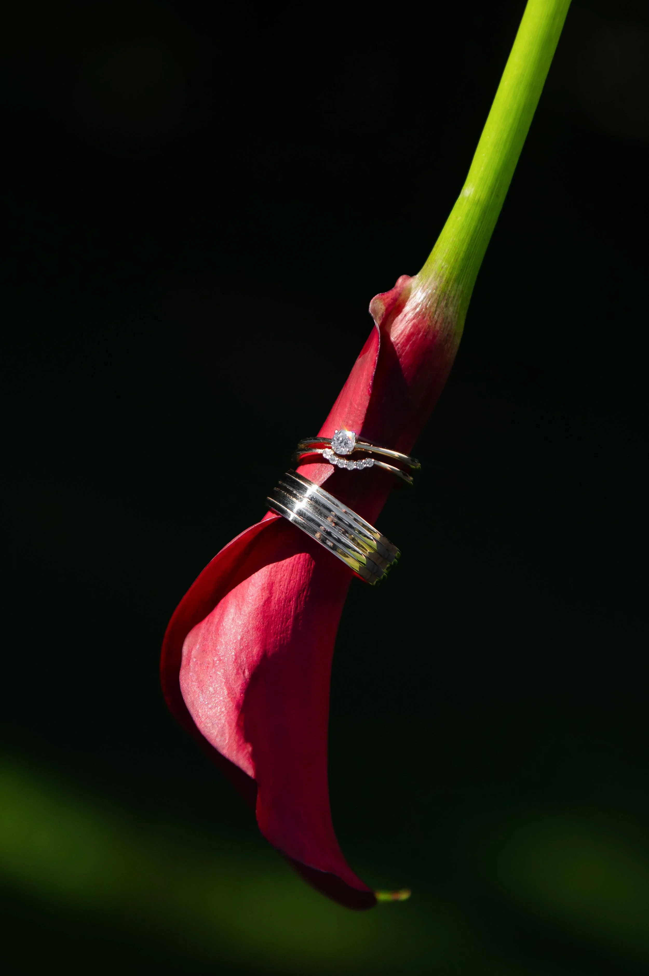 DSC_6804-Modifier.jpg